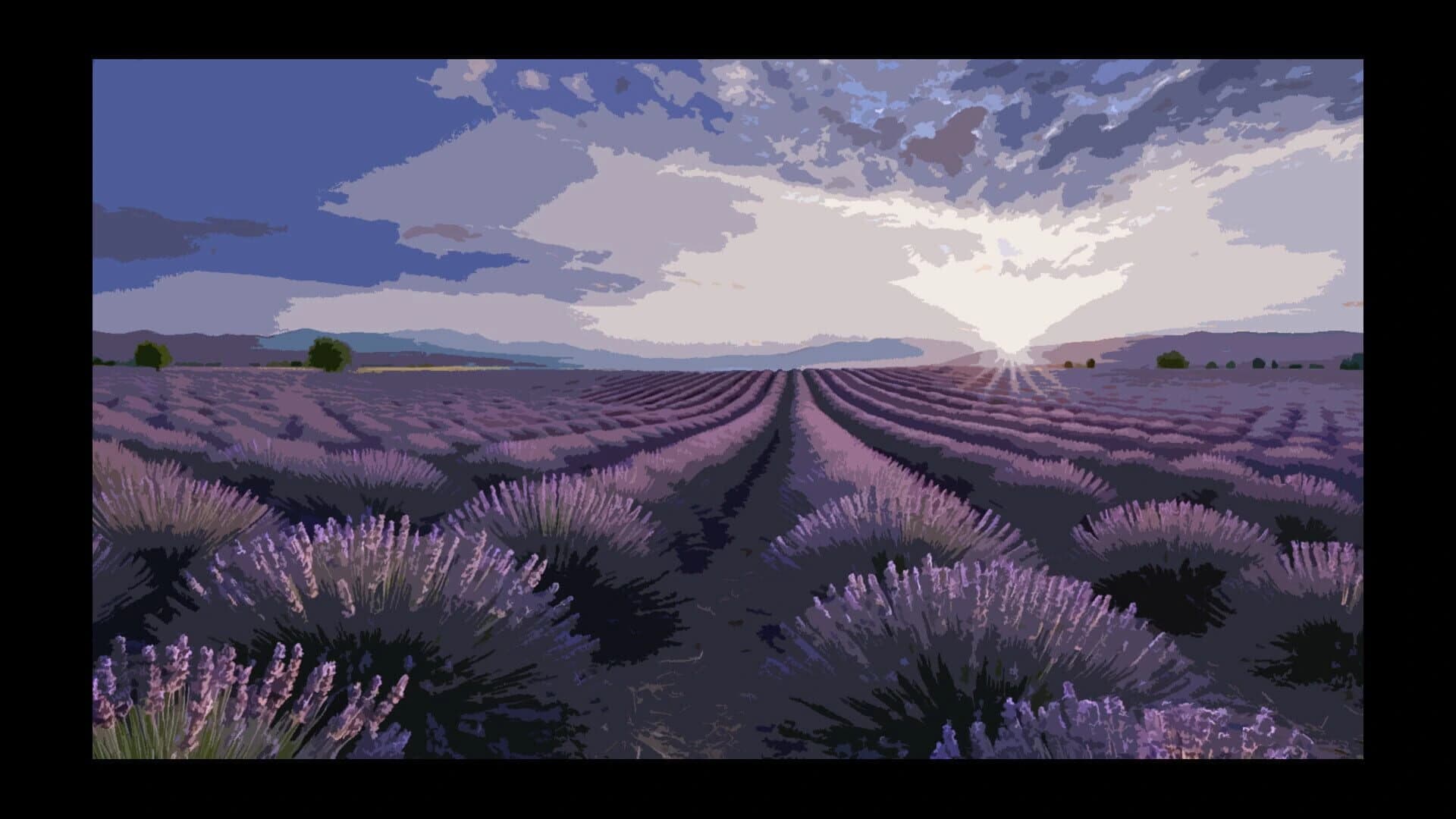Lavender Field screenshot 1