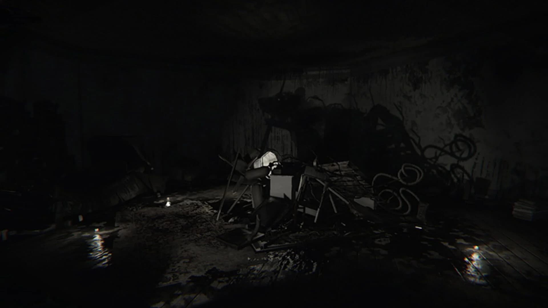 Layers of Fear: Legacy screenshot 5