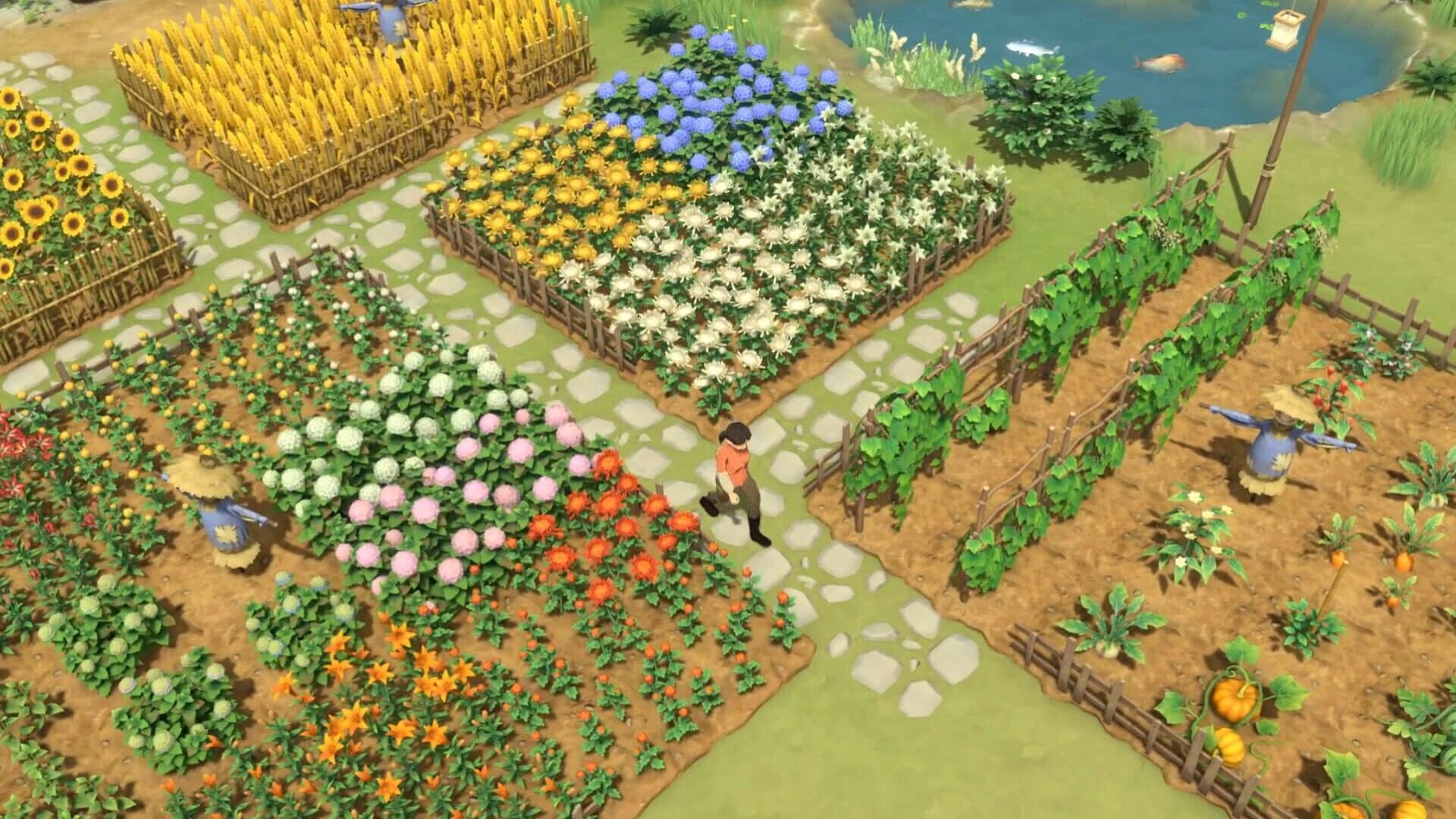 Litchi Town screenshot 4