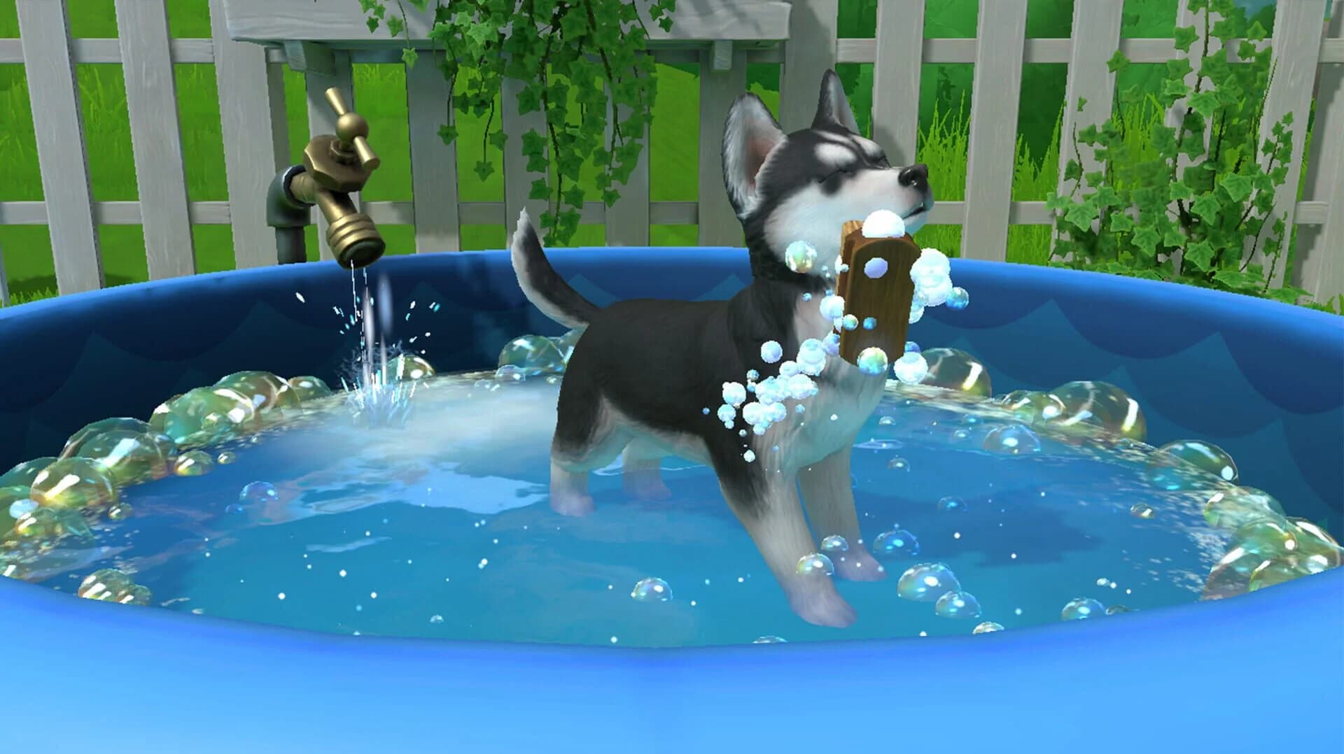 Little Friends: Puppy Island screenshot 5