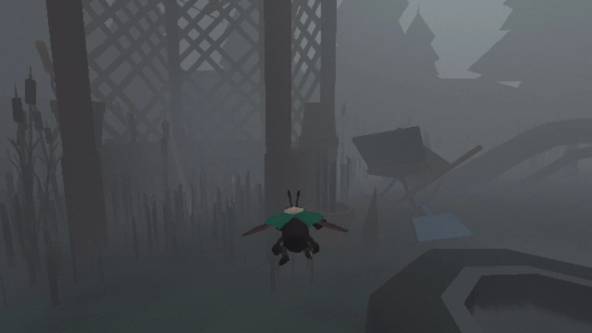 Live at Strummer's Pond screenshot 3