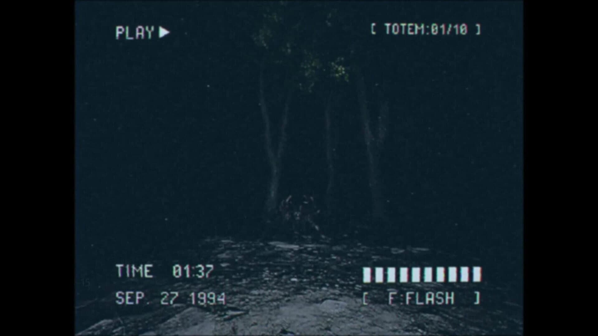 Lost Footage: Sound In The Silence screenshot 5