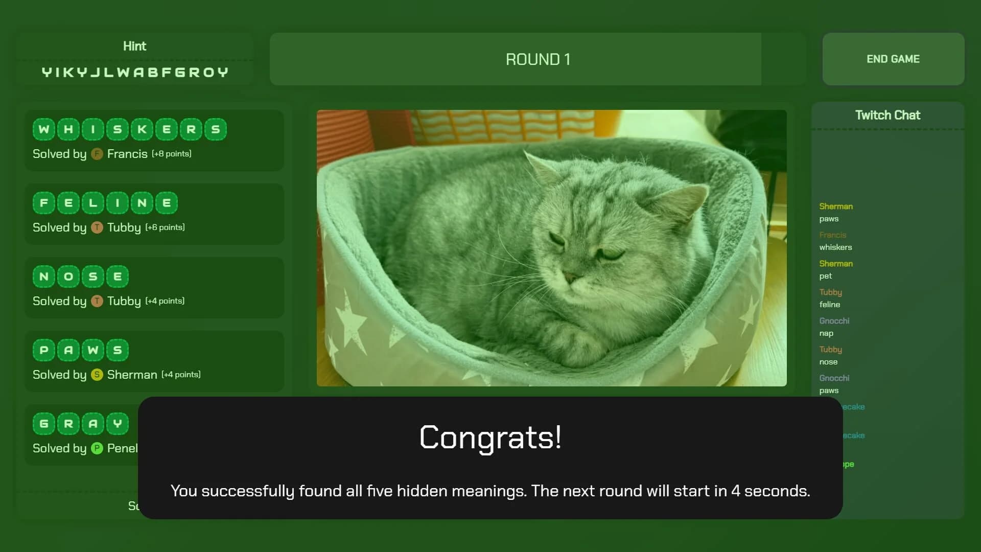 Meanings: Hidden in Plain Sight screenshot 3