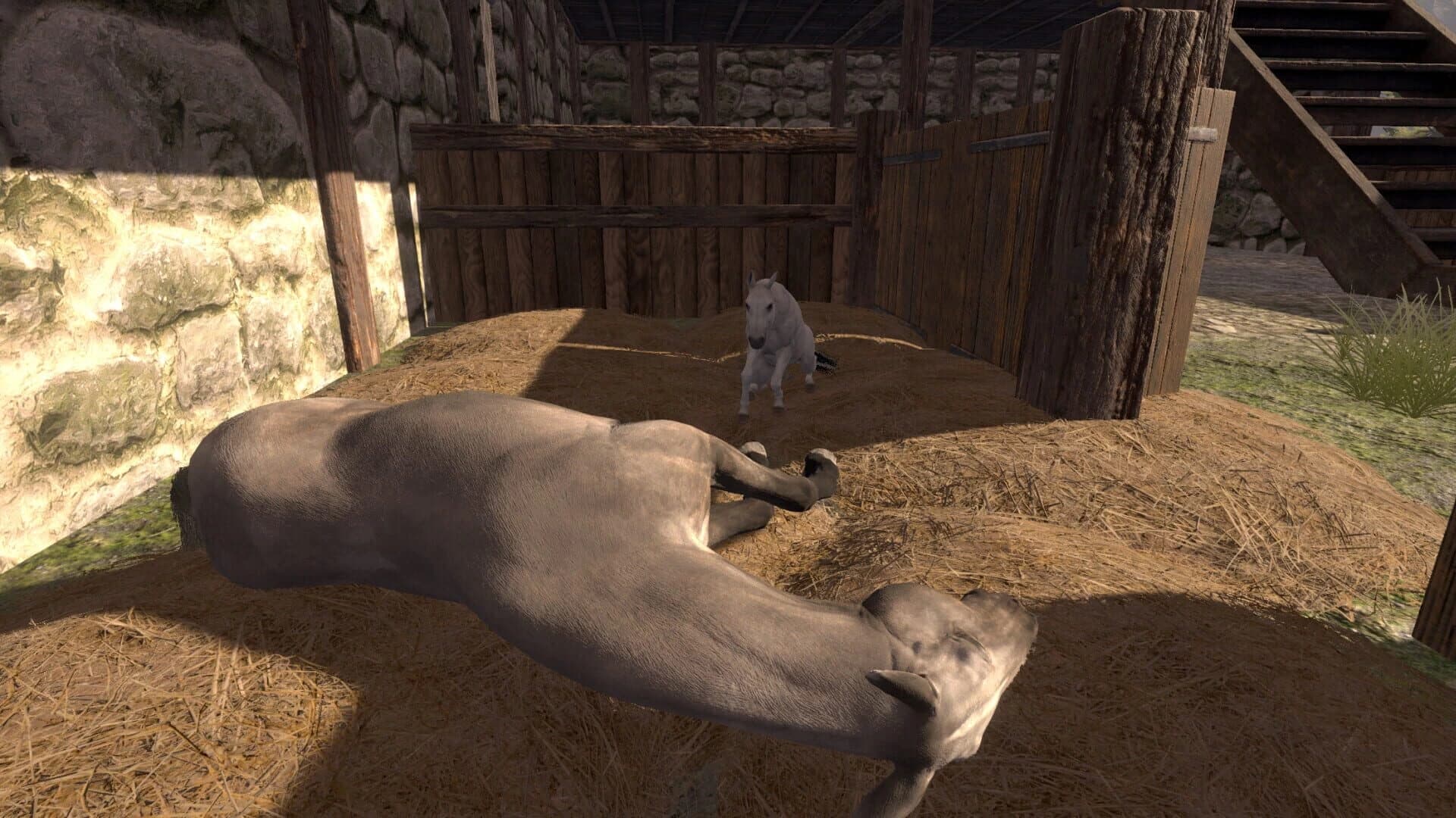 Medieval Horse Dealer Simulator screenshot 5