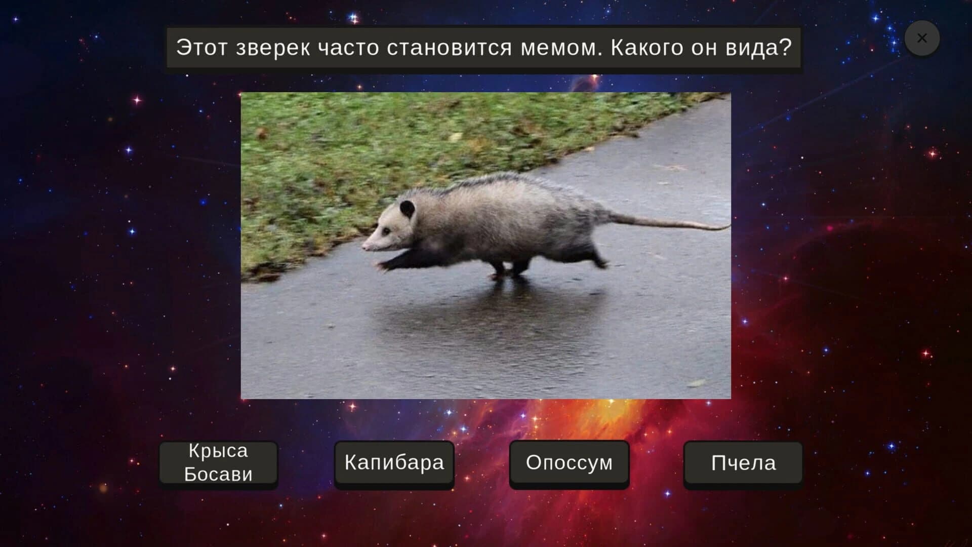 Memology screenshot 3