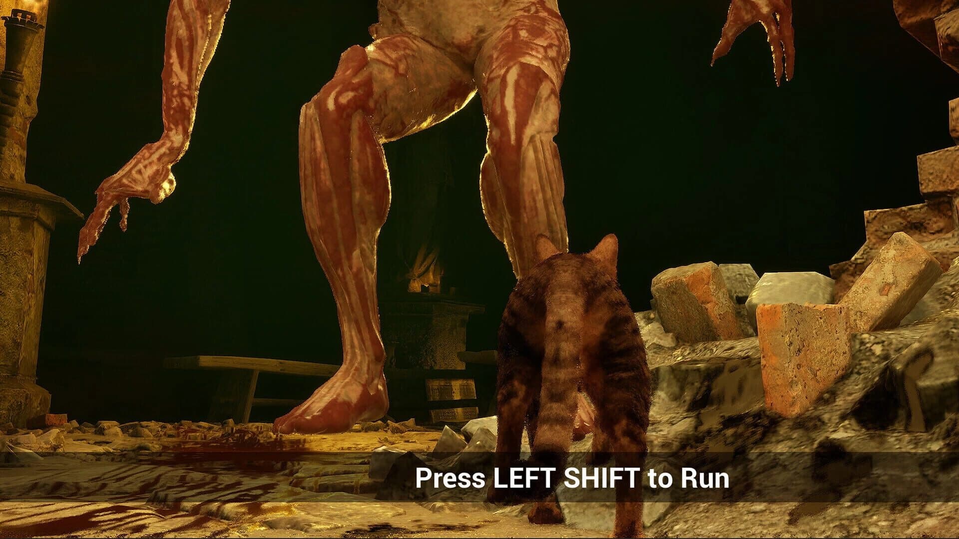 Meowmories screenshot 2