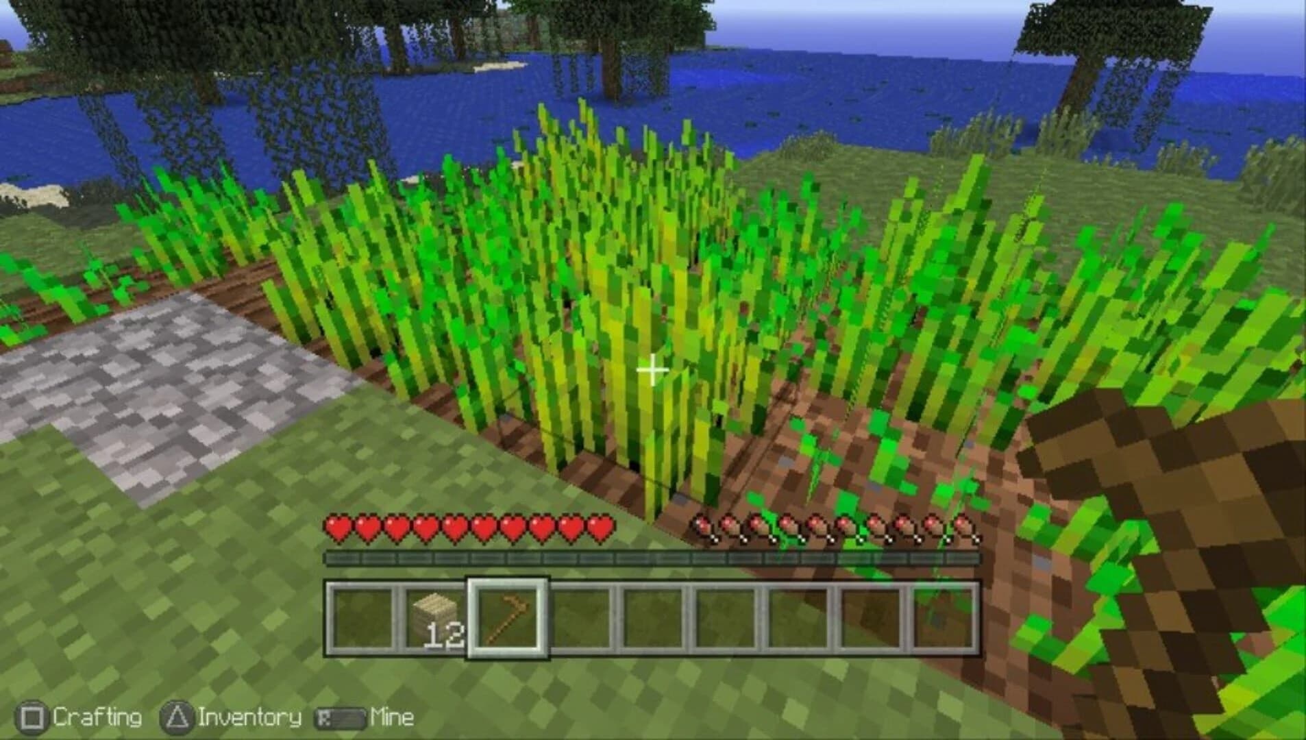 Minecraft: Playstation Vita Edition screenshot 1