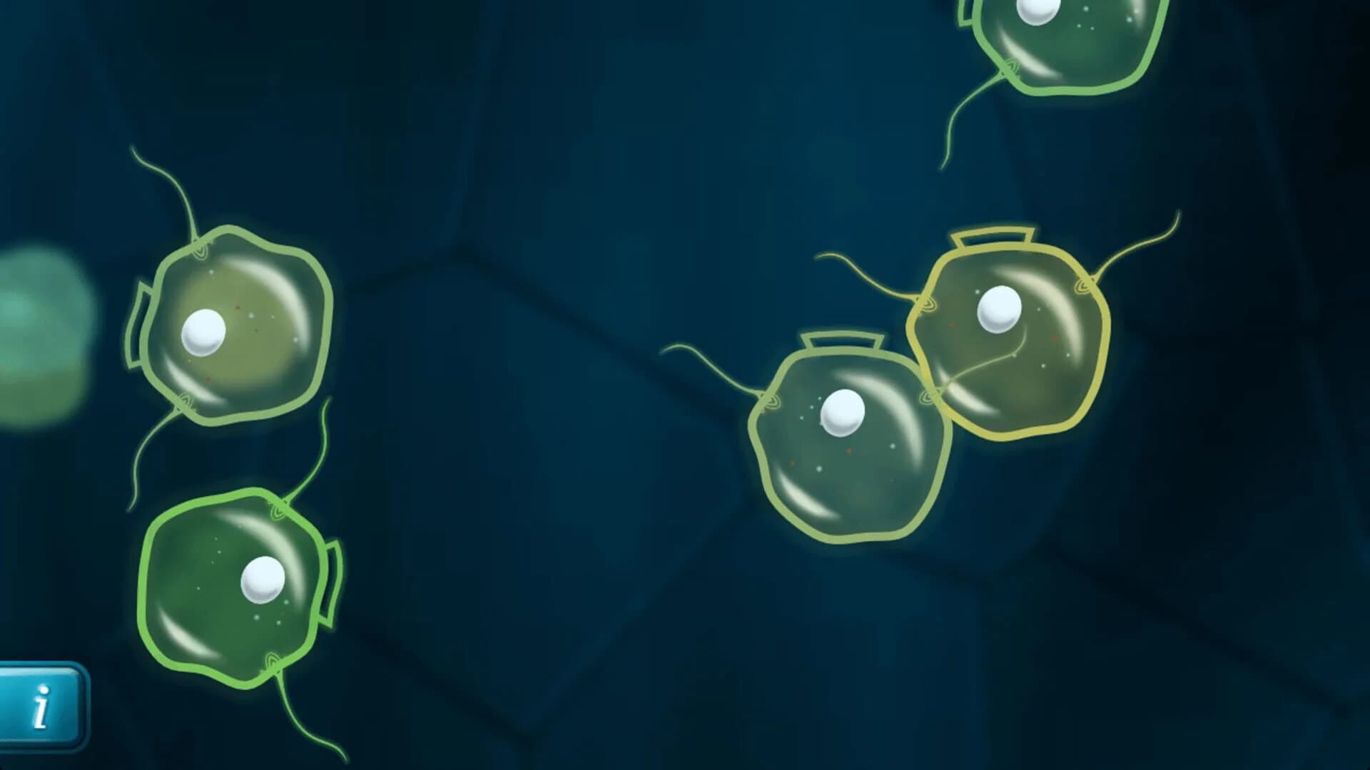 Mitosis screenshot 5