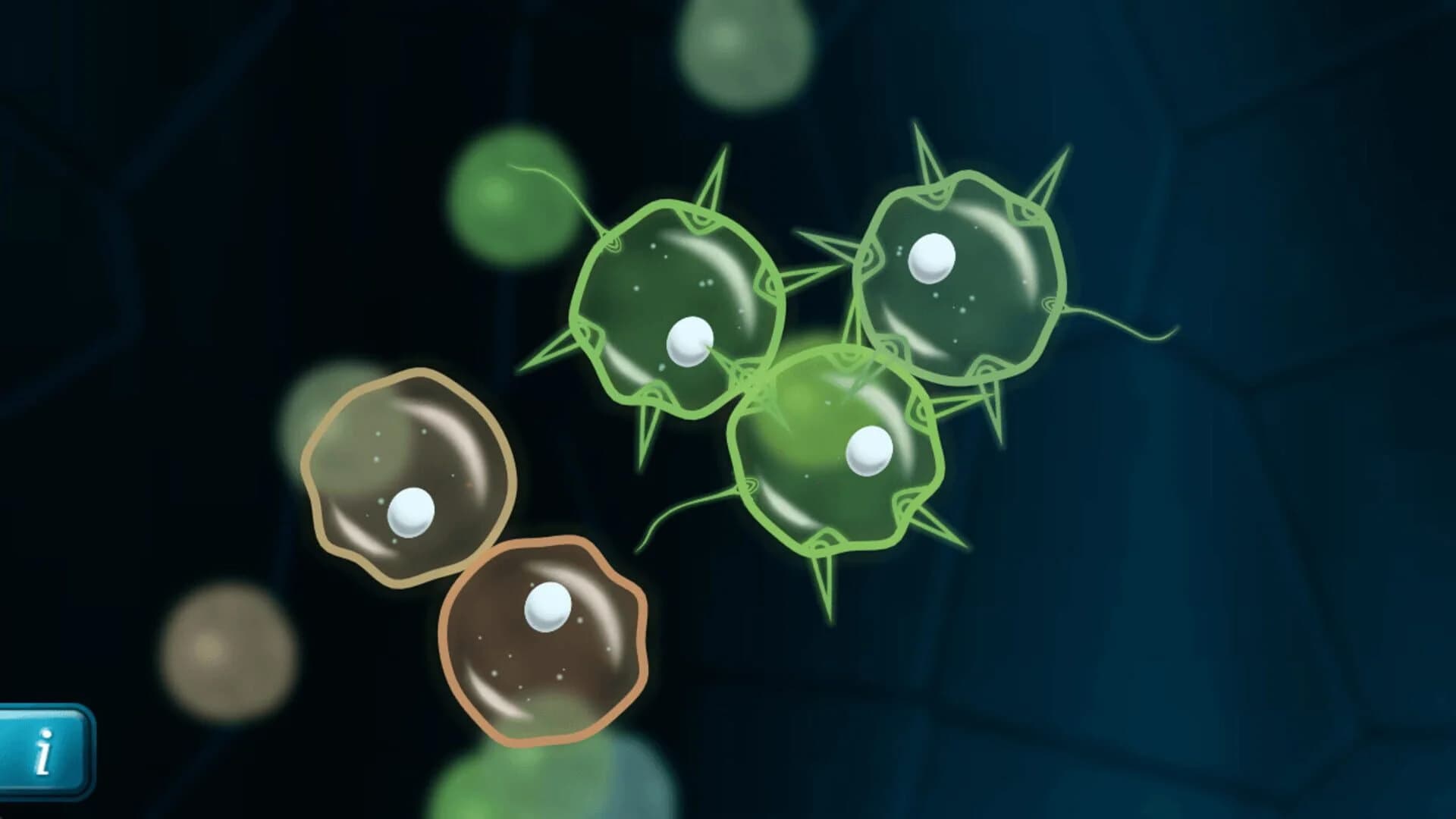 Mitosis screenshot 4