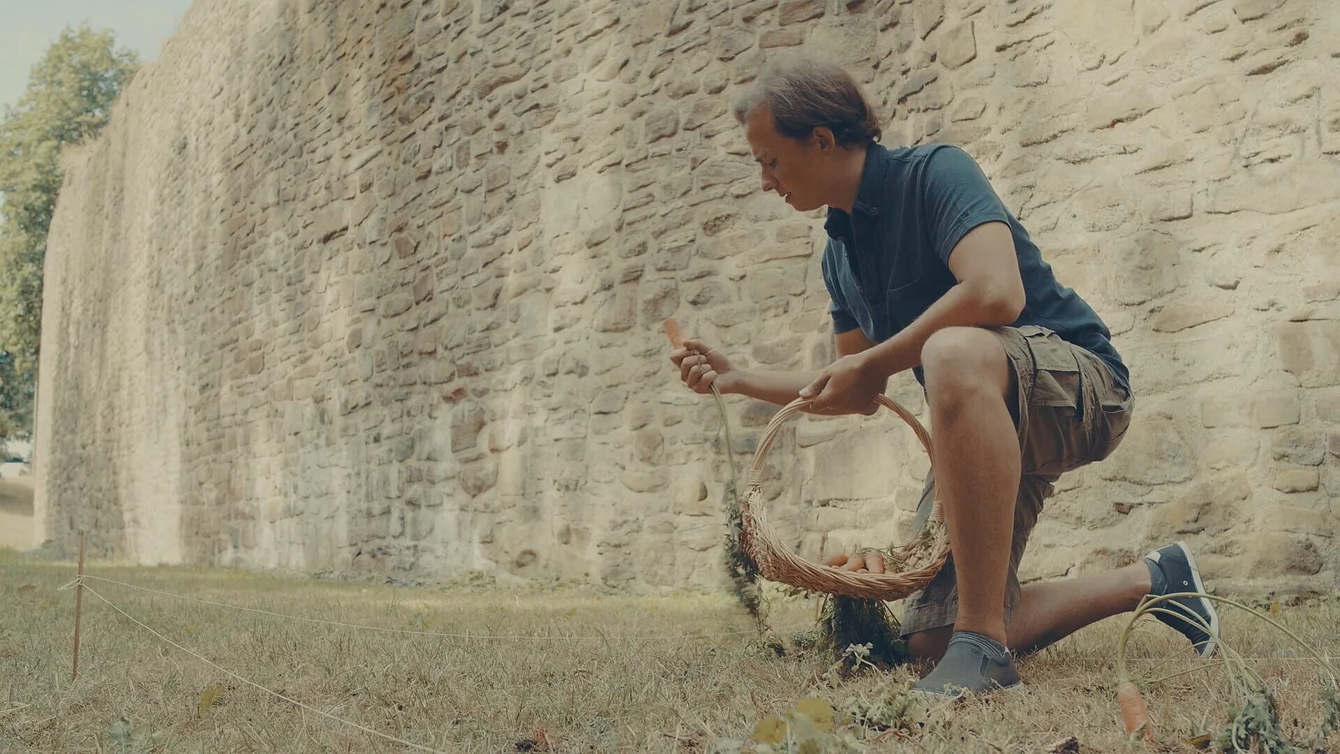 Moral King screenshot 5