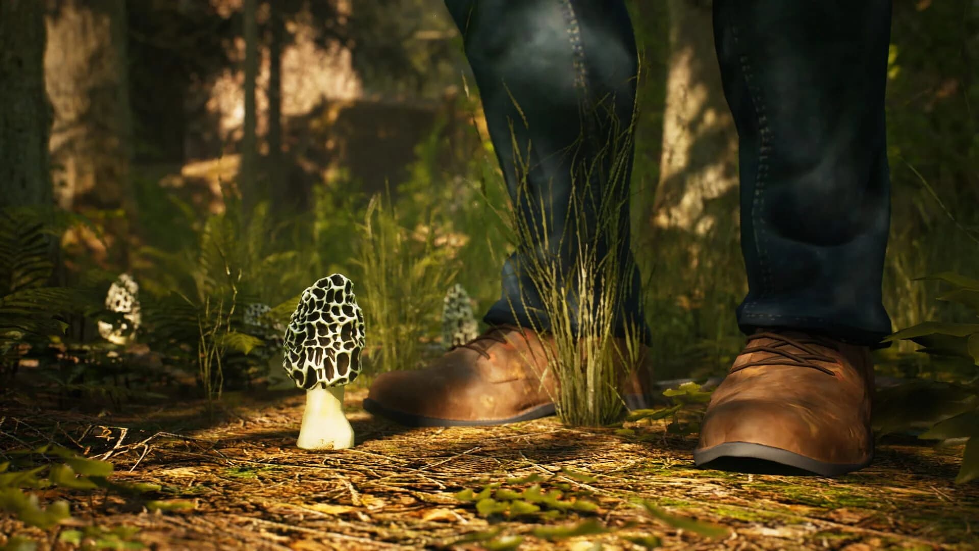 Morels: The Hunt screenshot 3