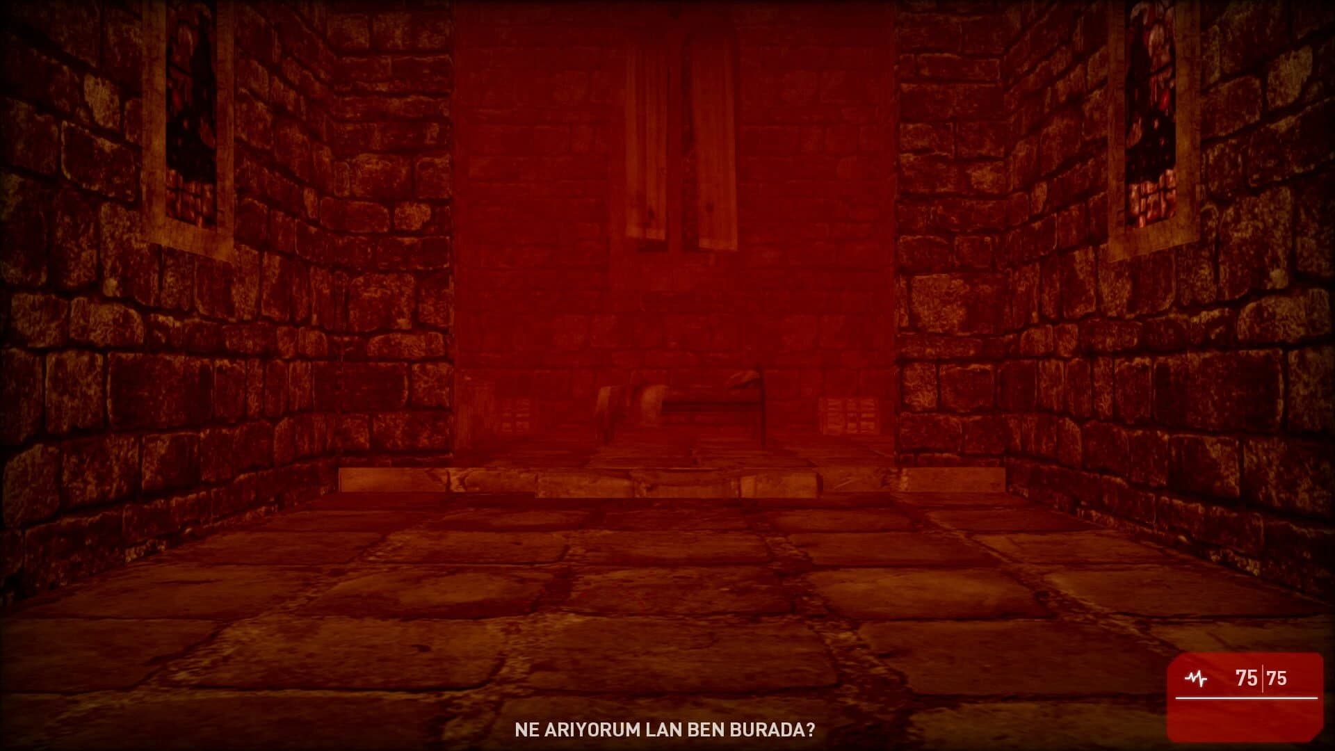 Murder Diaries: Ankara screenshot 3