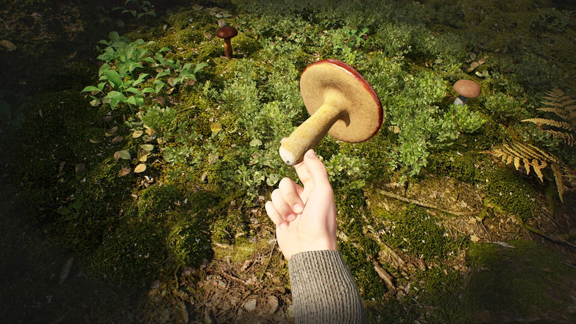Mushroom Hunter Simulator screenshot 1