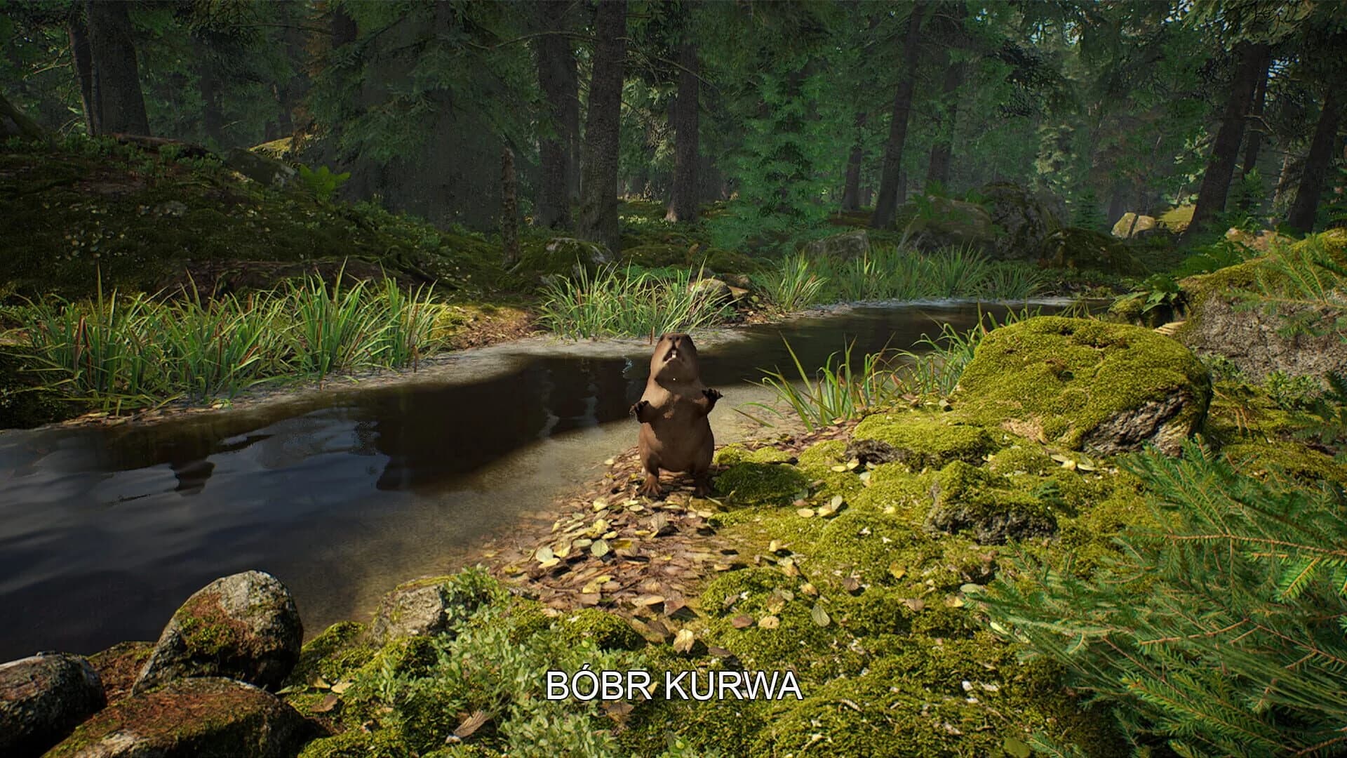 Mushroom Hunter Simulator screenshot 2