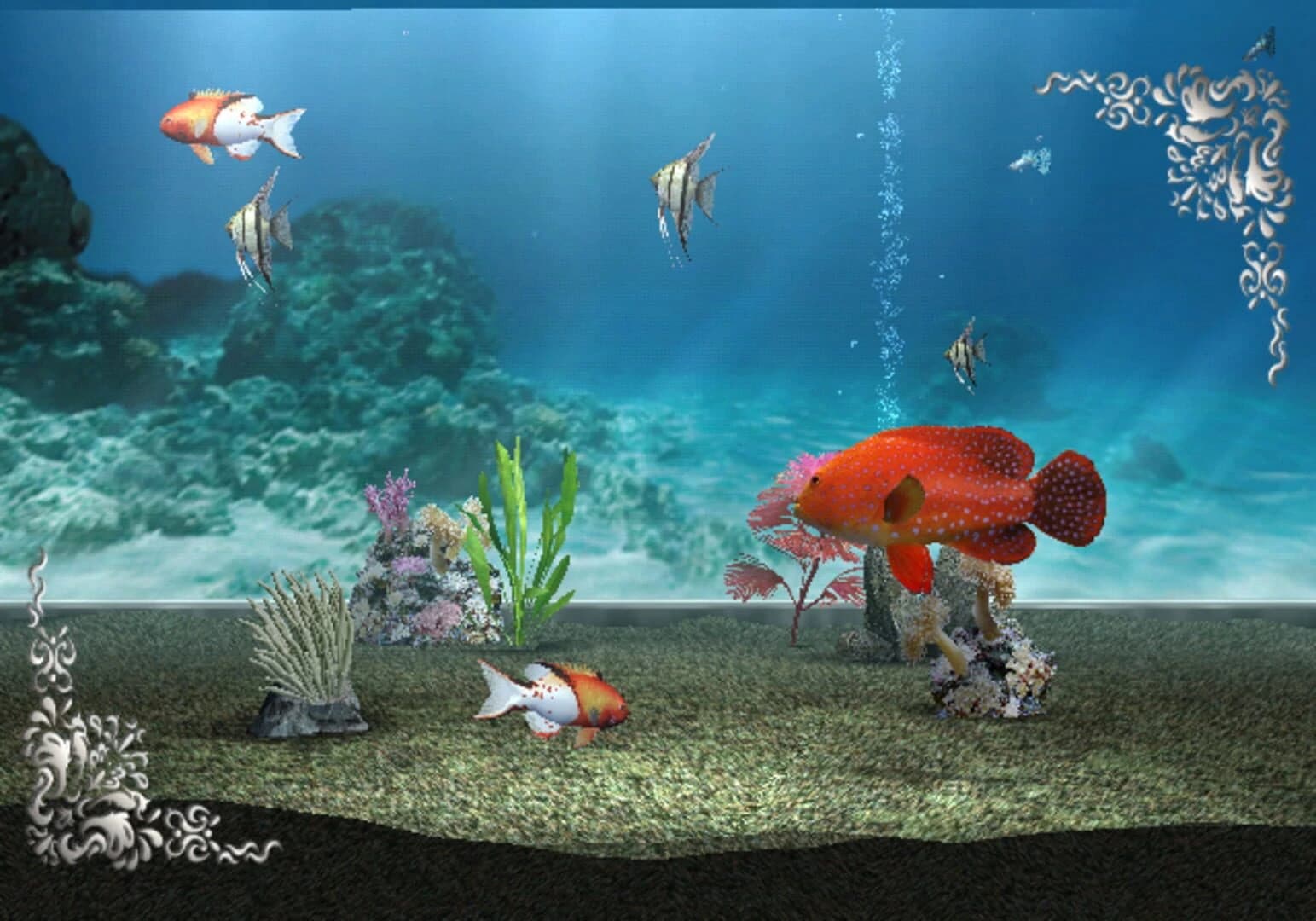 My Aquarium screenshot 5