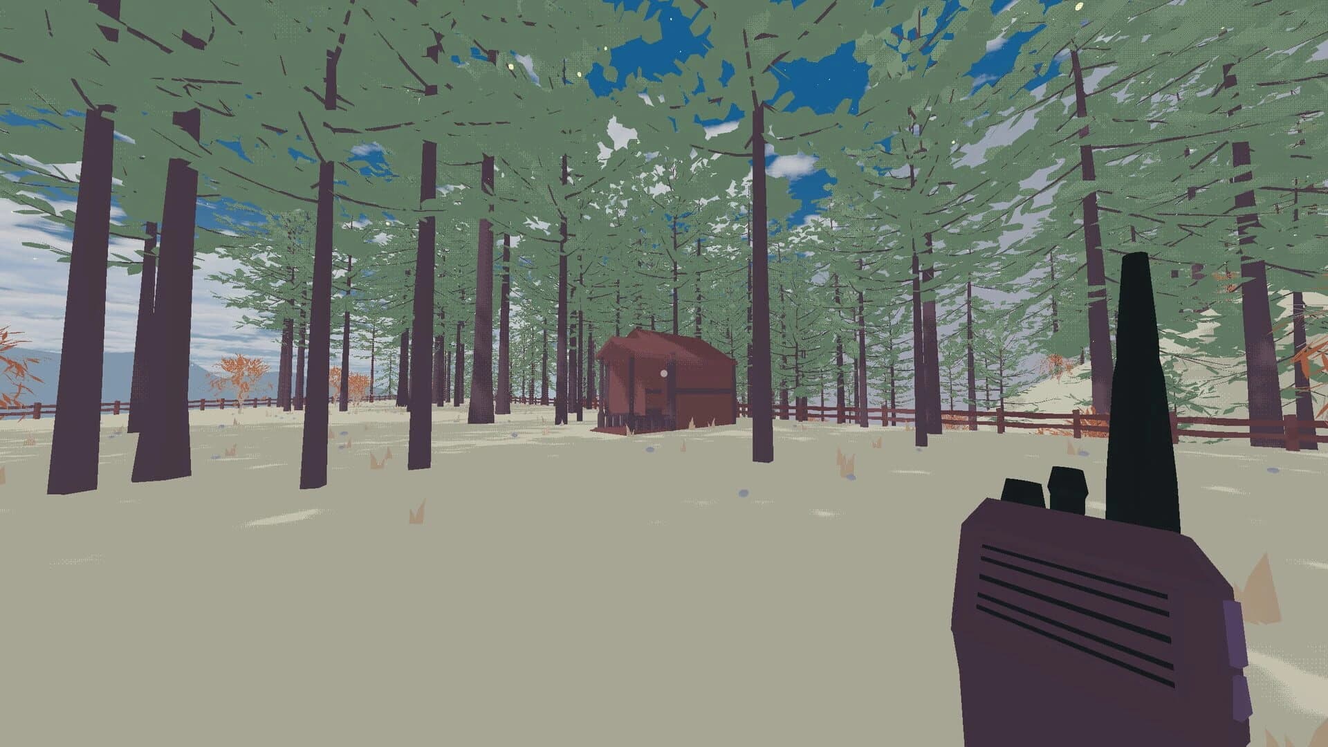 My brother lives in a canyon screenshot 5