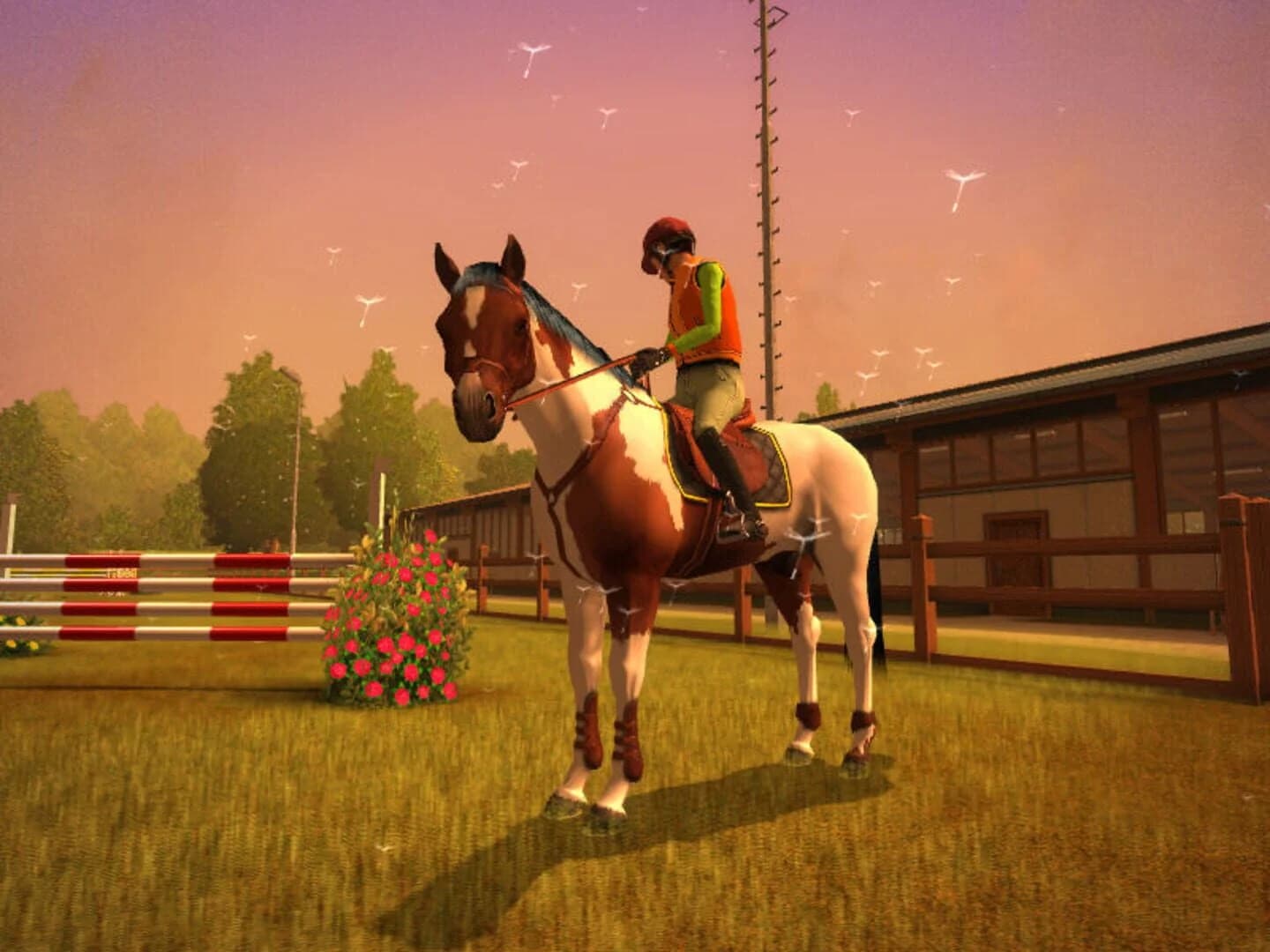 My Horse & Me screenshot 4