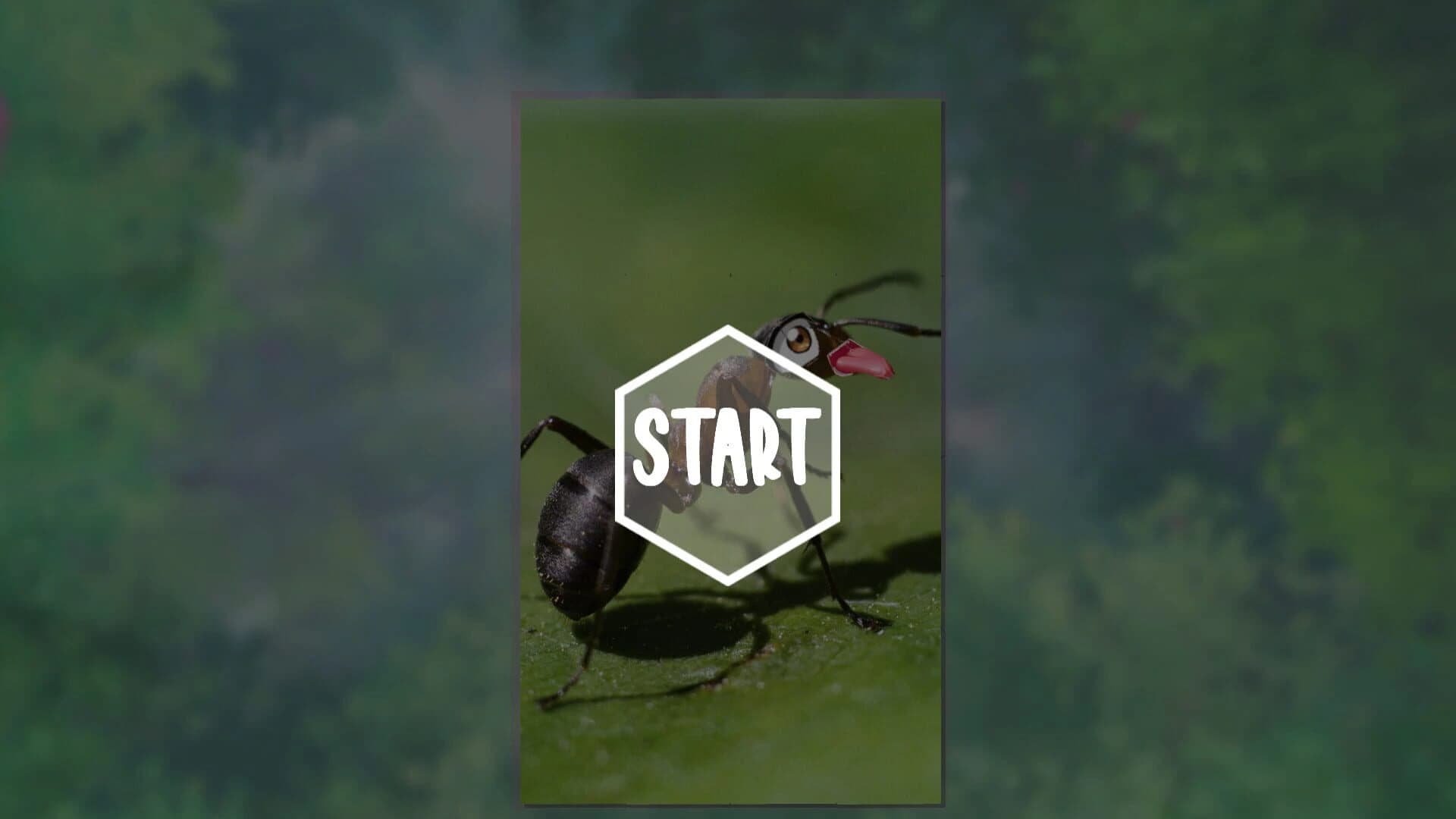 My Sweet Ants! screenshot 1