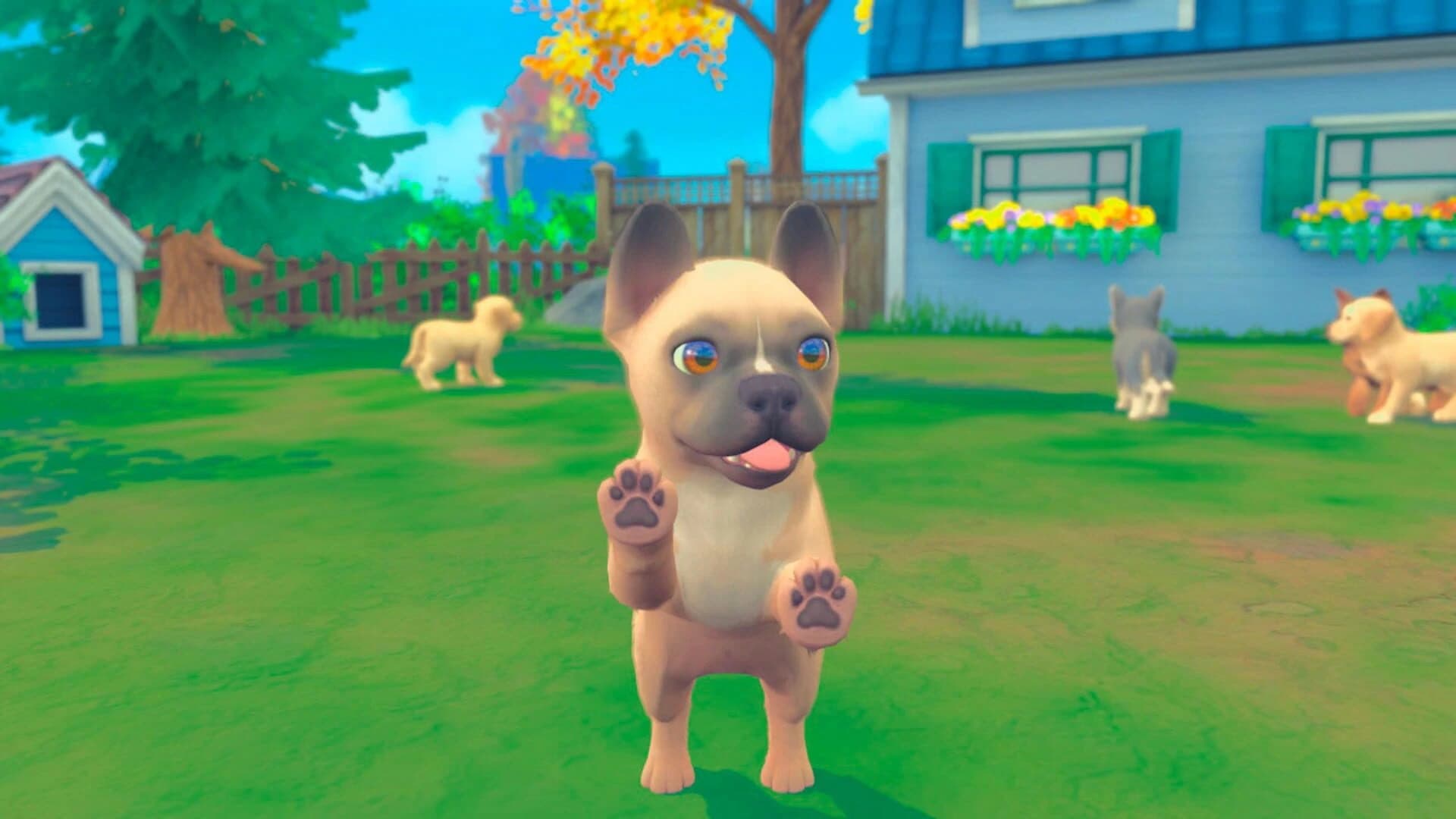 My Universe: Puppies and Kittens screenshot 3