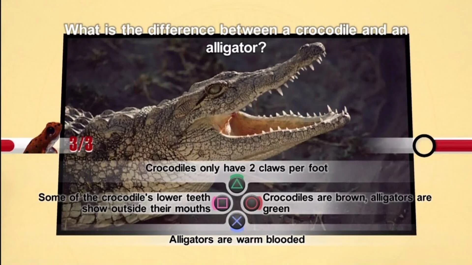 Nat Geo Challenge! Wild Life screenshot 4