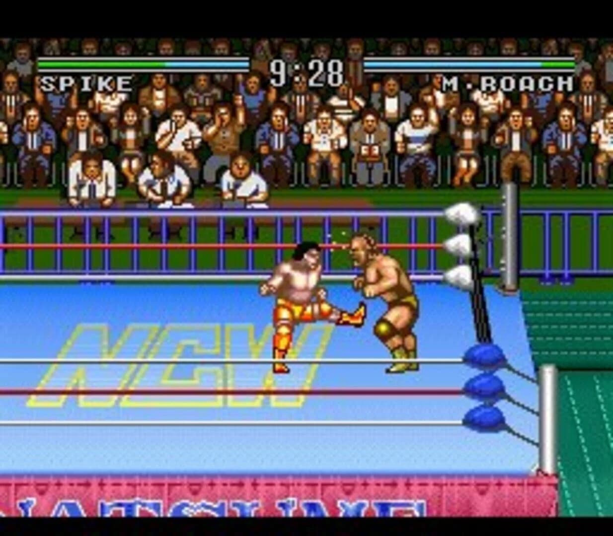 Natsume Championship Wrestling screenshot 2