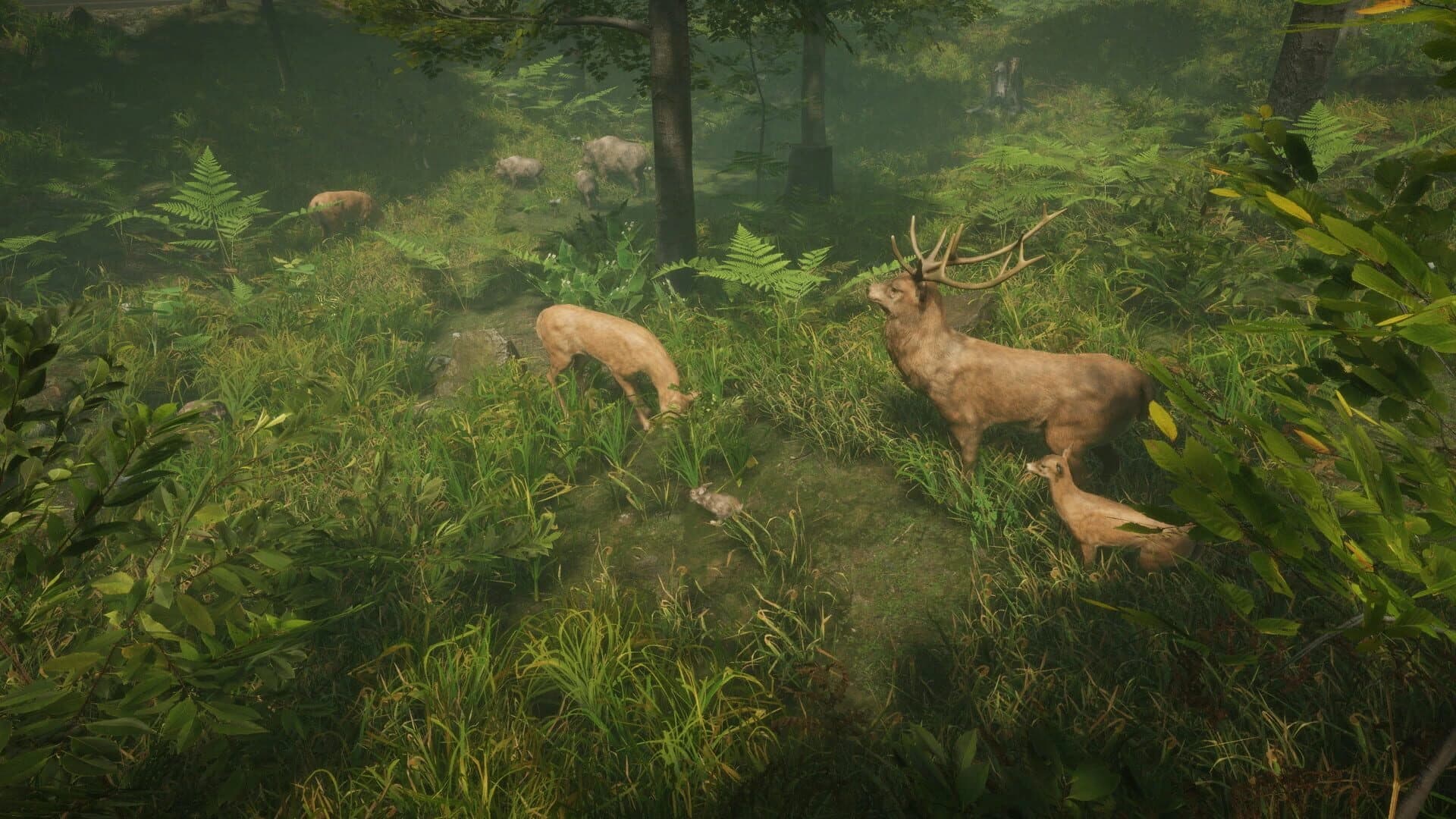 Natural Instincts screenshot 4
