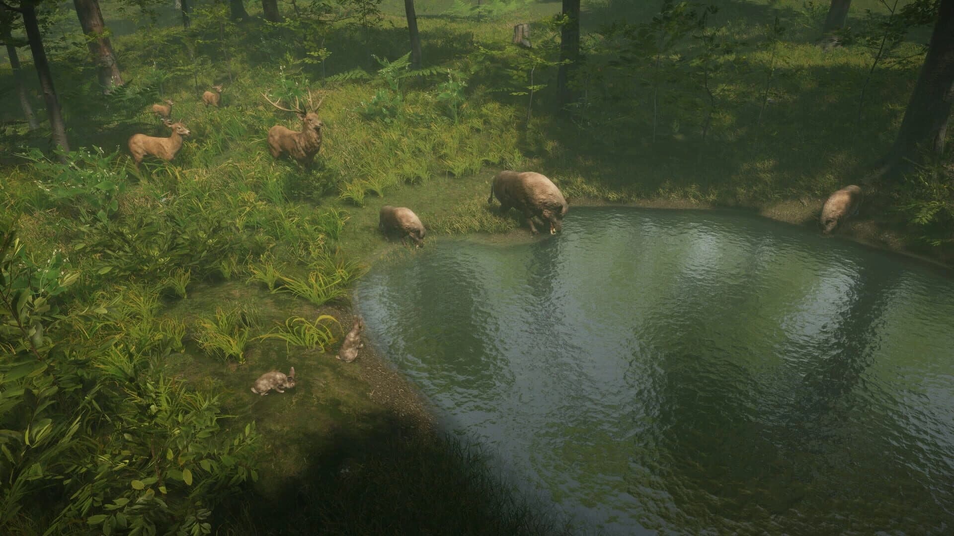 Natural Instincts screenshot 1