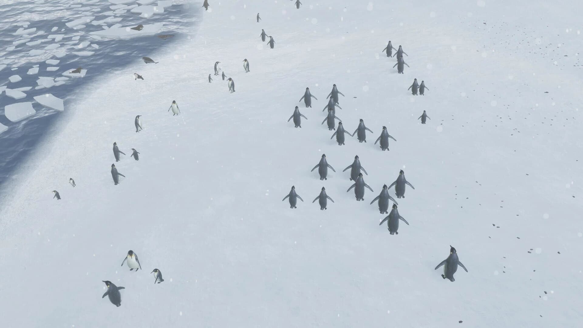 Natural Instincts screenshot 3