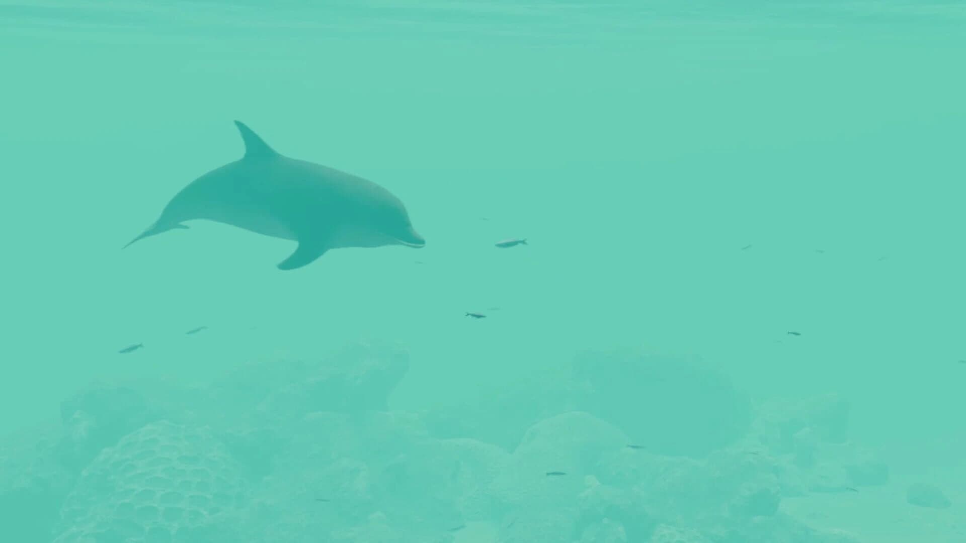 Nature Treks: Together screenshot 5