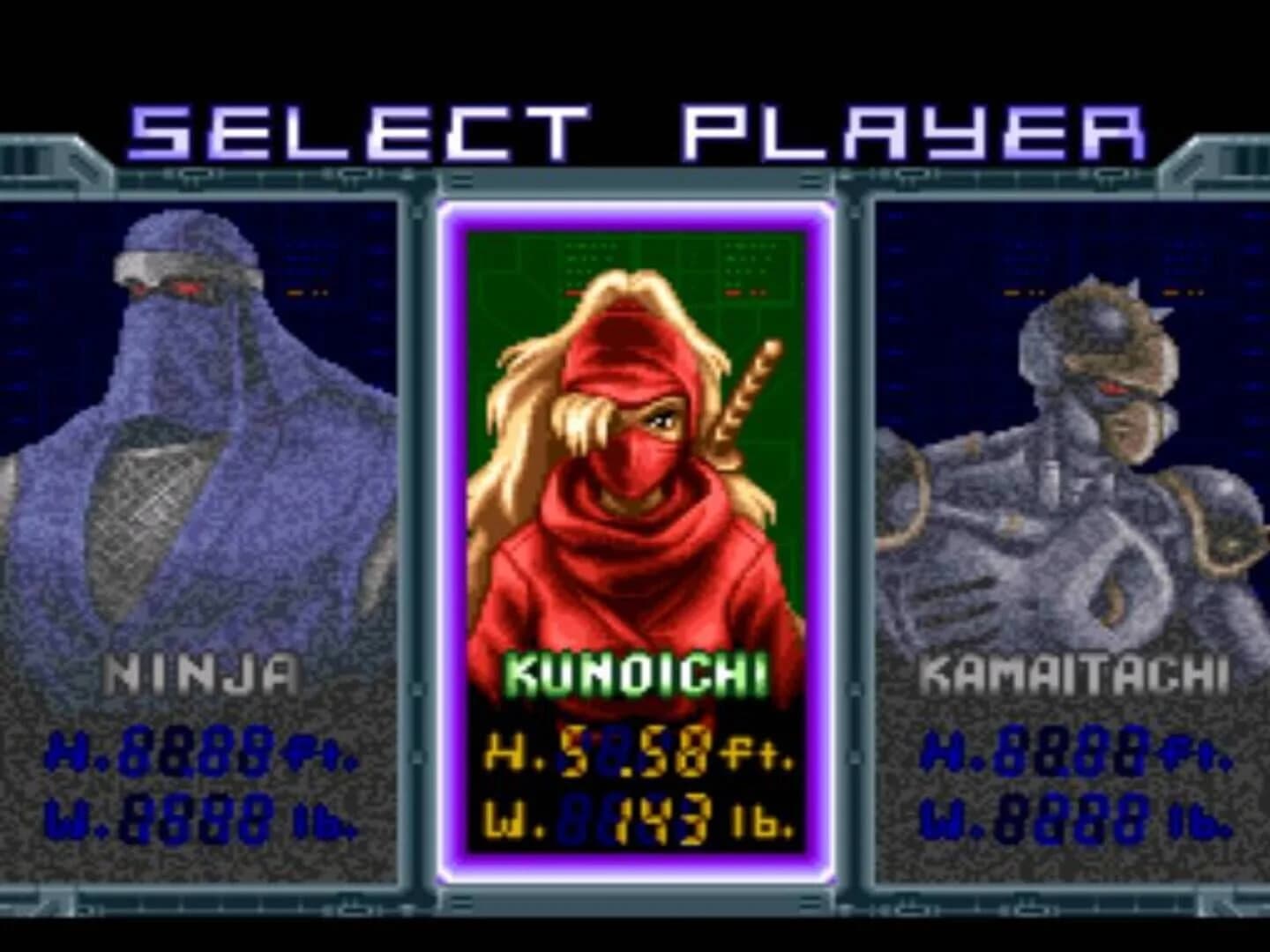 Ninja Warriors screenshot 4