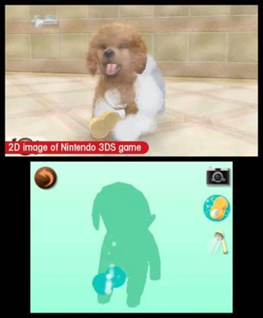 Nintendogs + Cats: Toy Poodle & New Friends screenshot 3