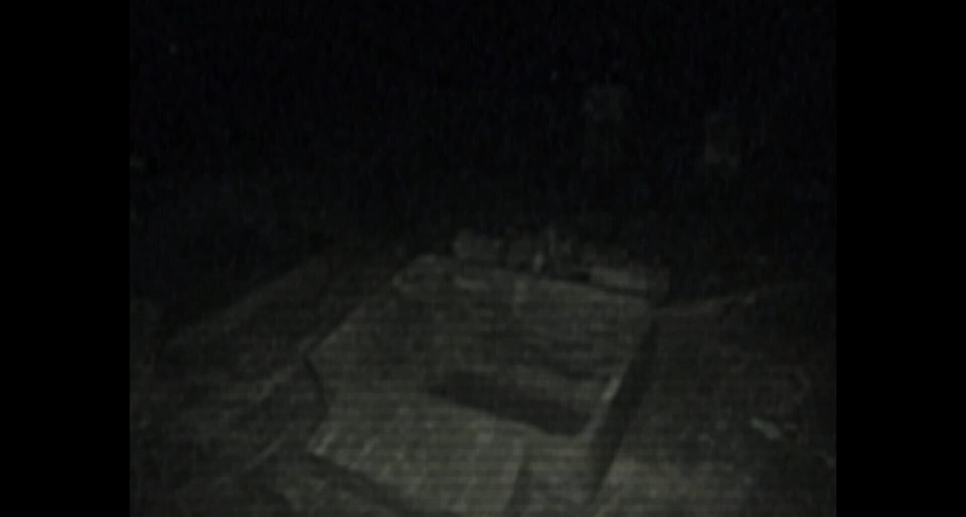 No Signal screenshot 5
