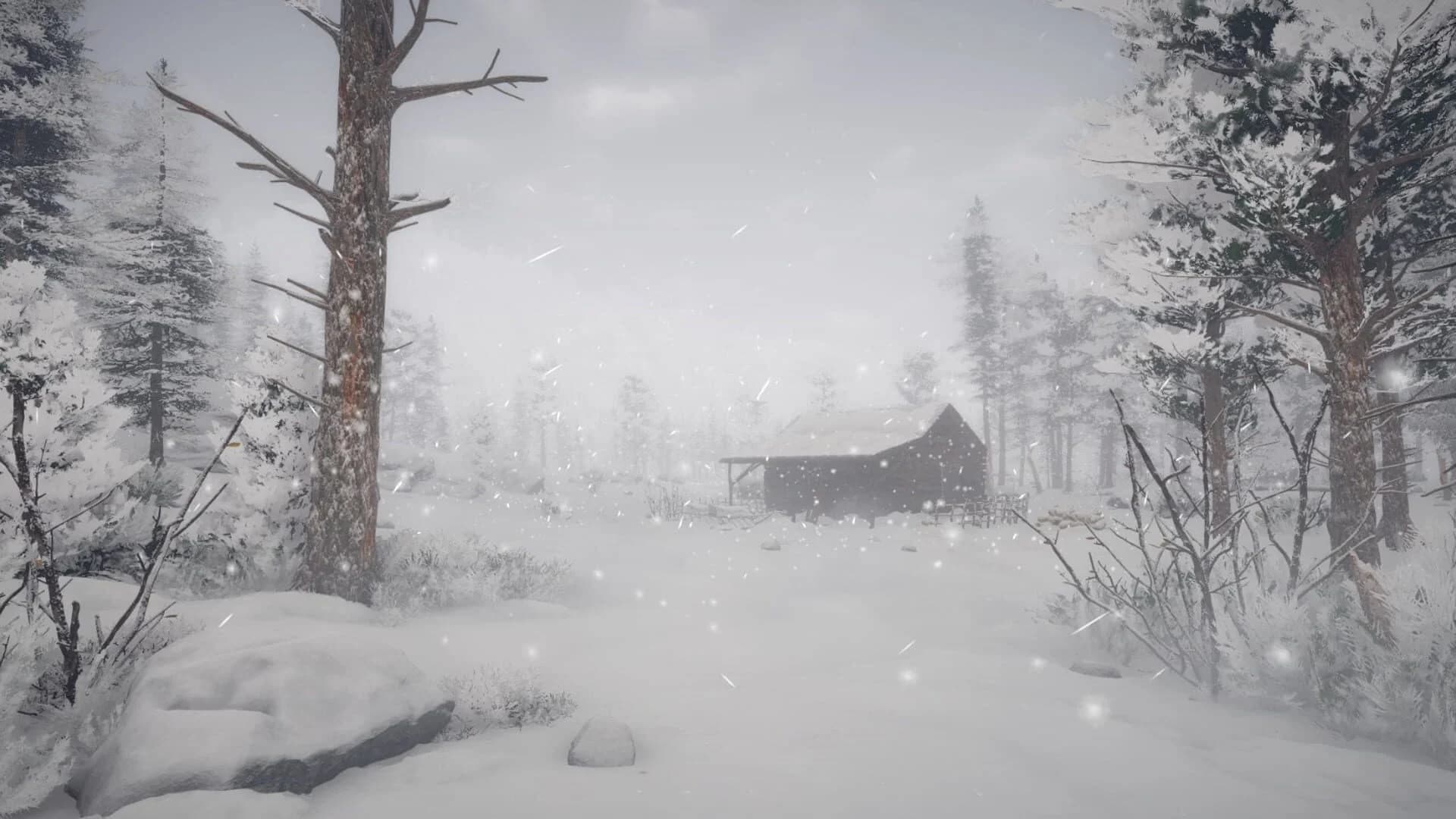 Northern Lights screenshot 1
