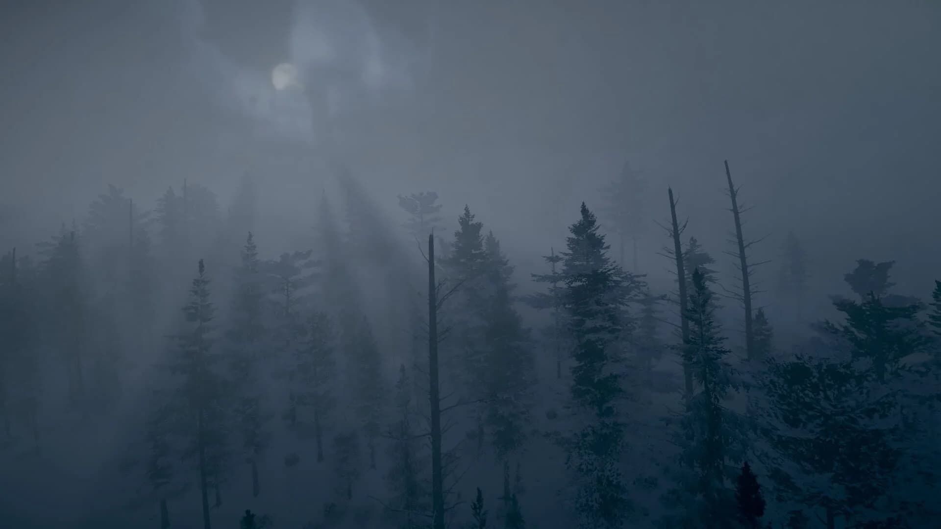 Northern Lights screenshot 3