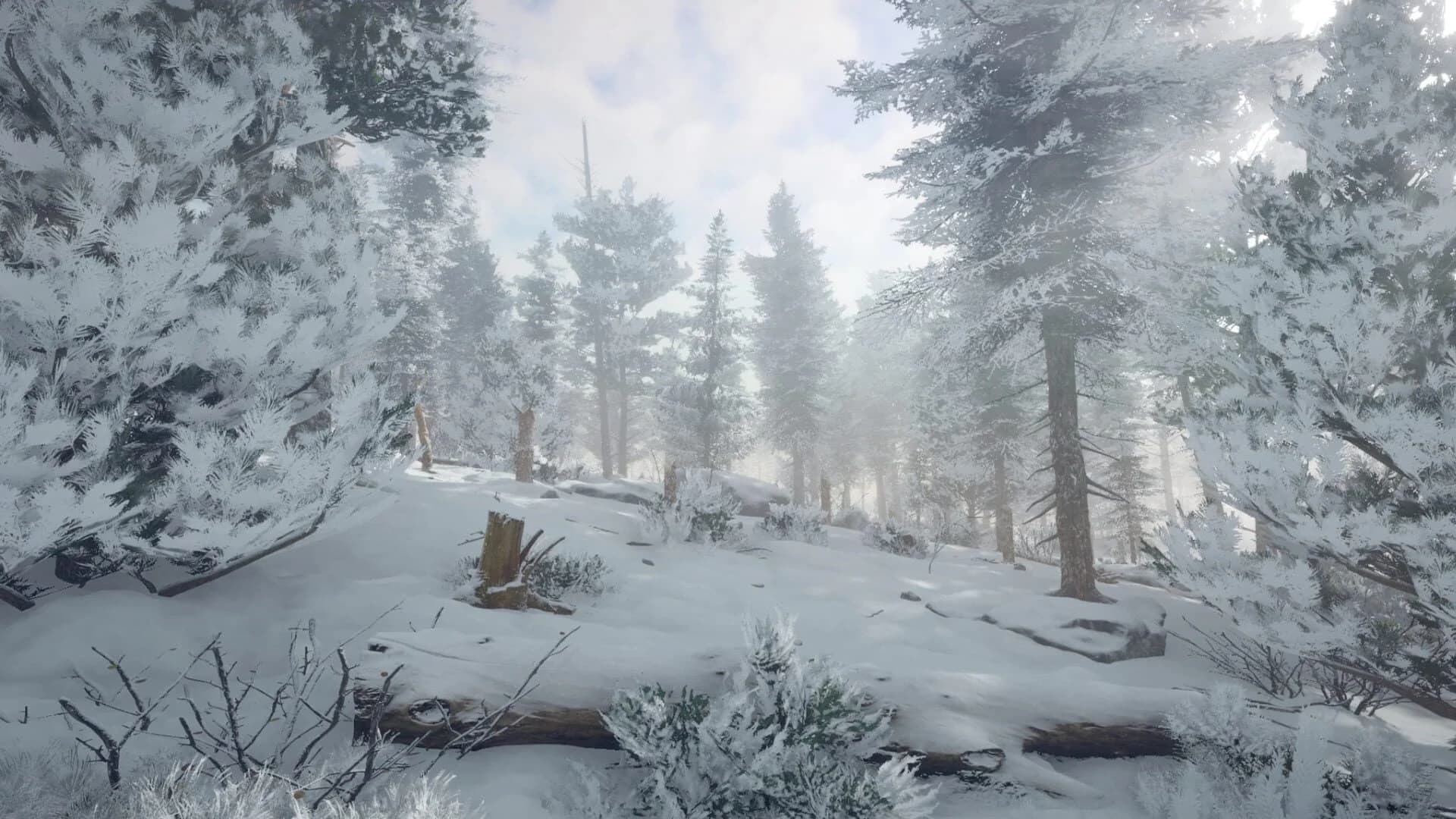 Northern Lights screenshot 4