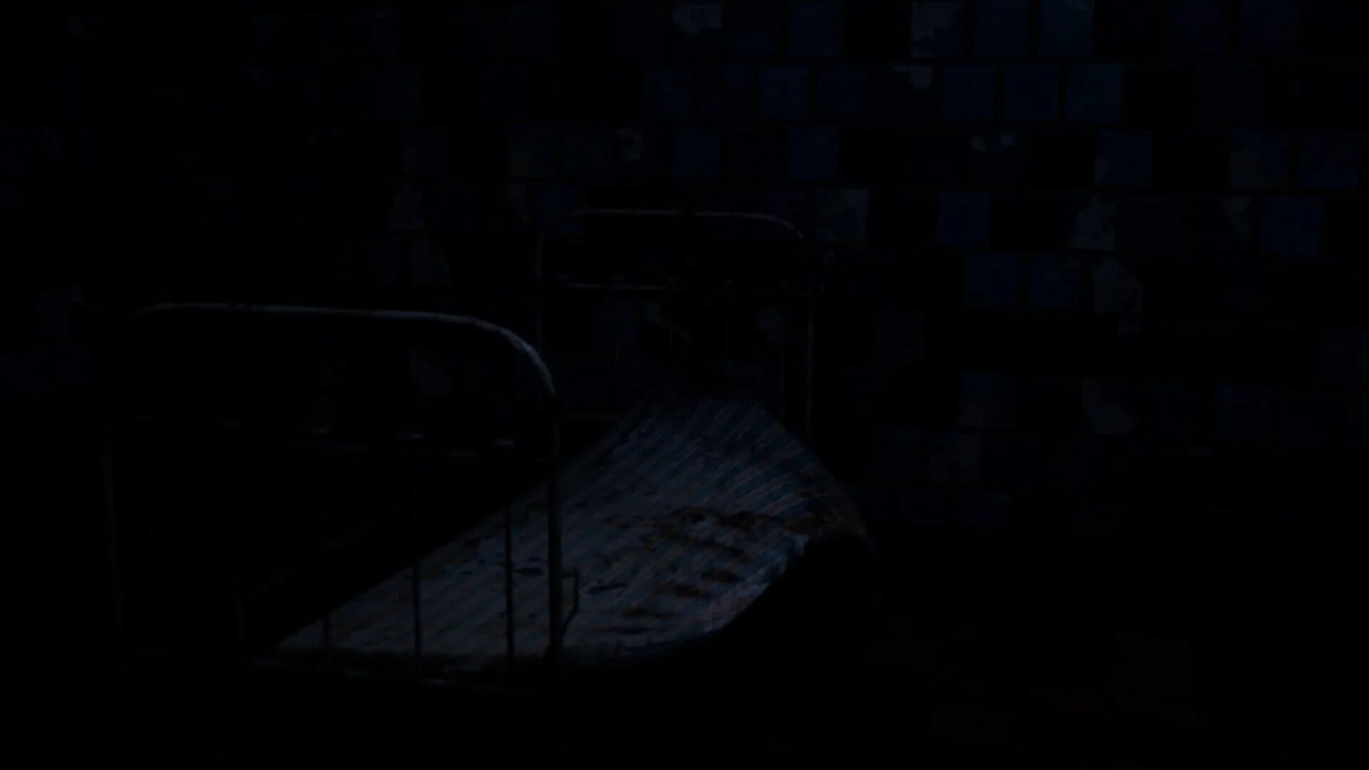 Omitted screenshot 4