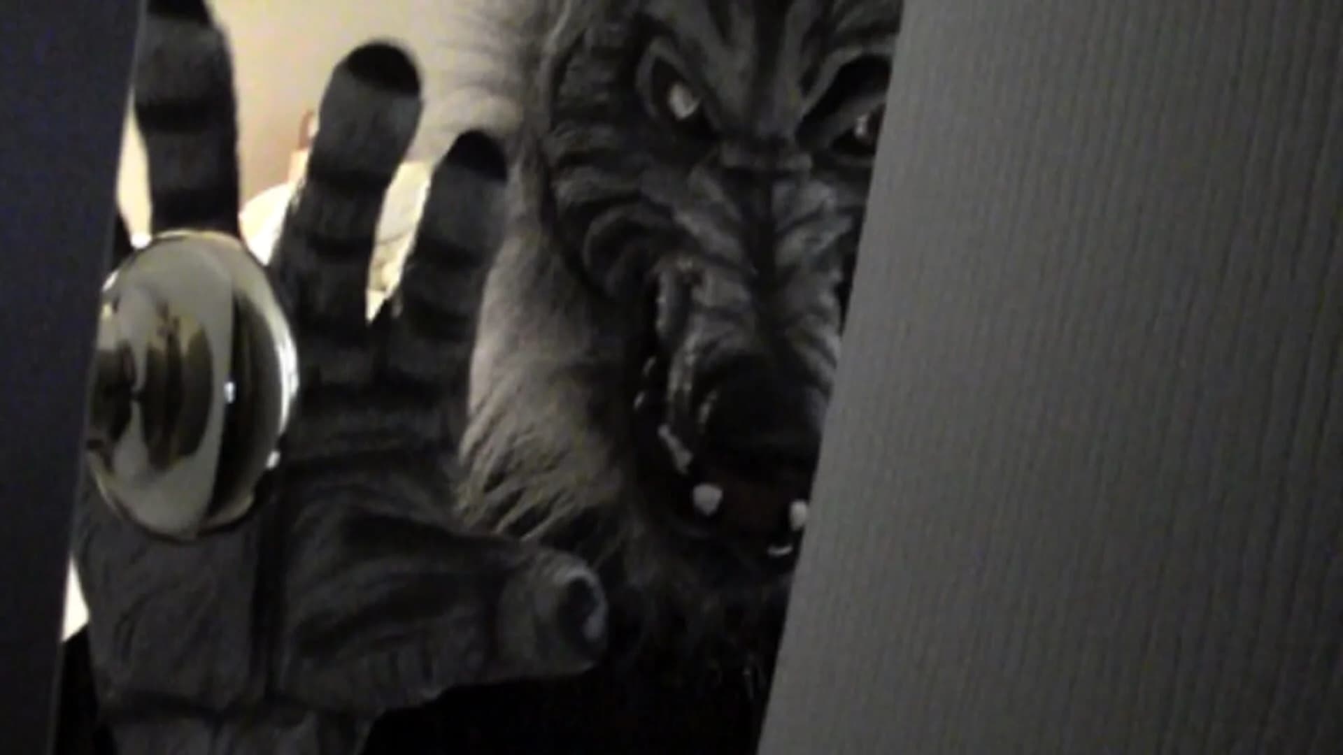 One Night You're Crazy screenshot 1