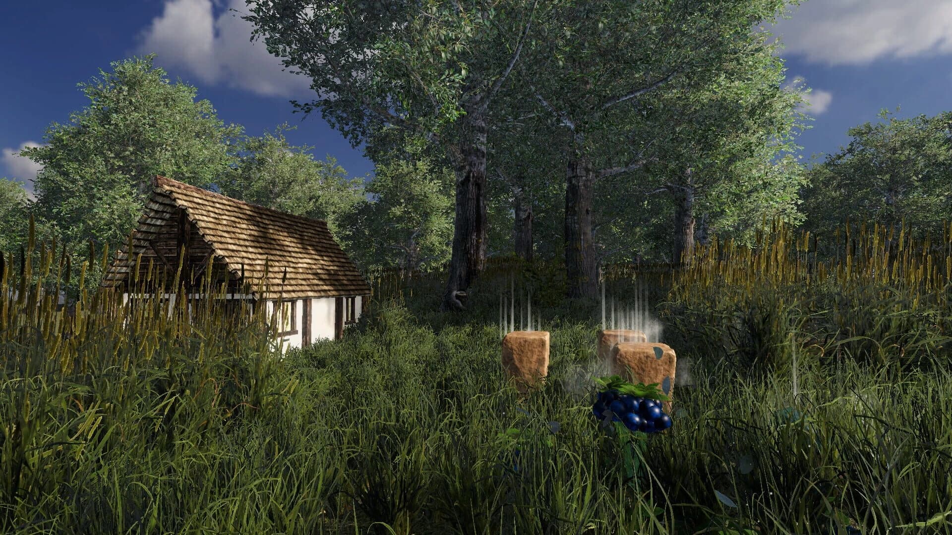 Otar Island screenshot 4