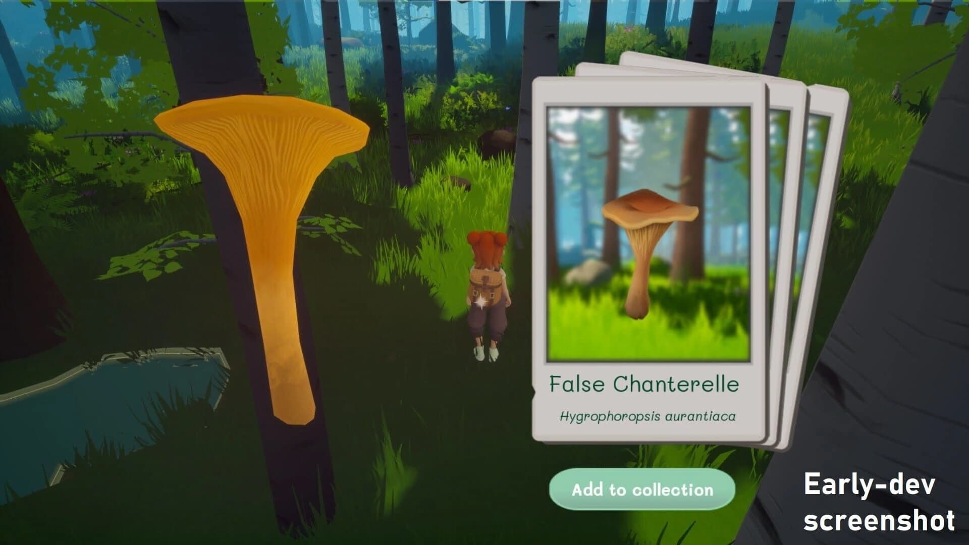 Out and About screenshot 4