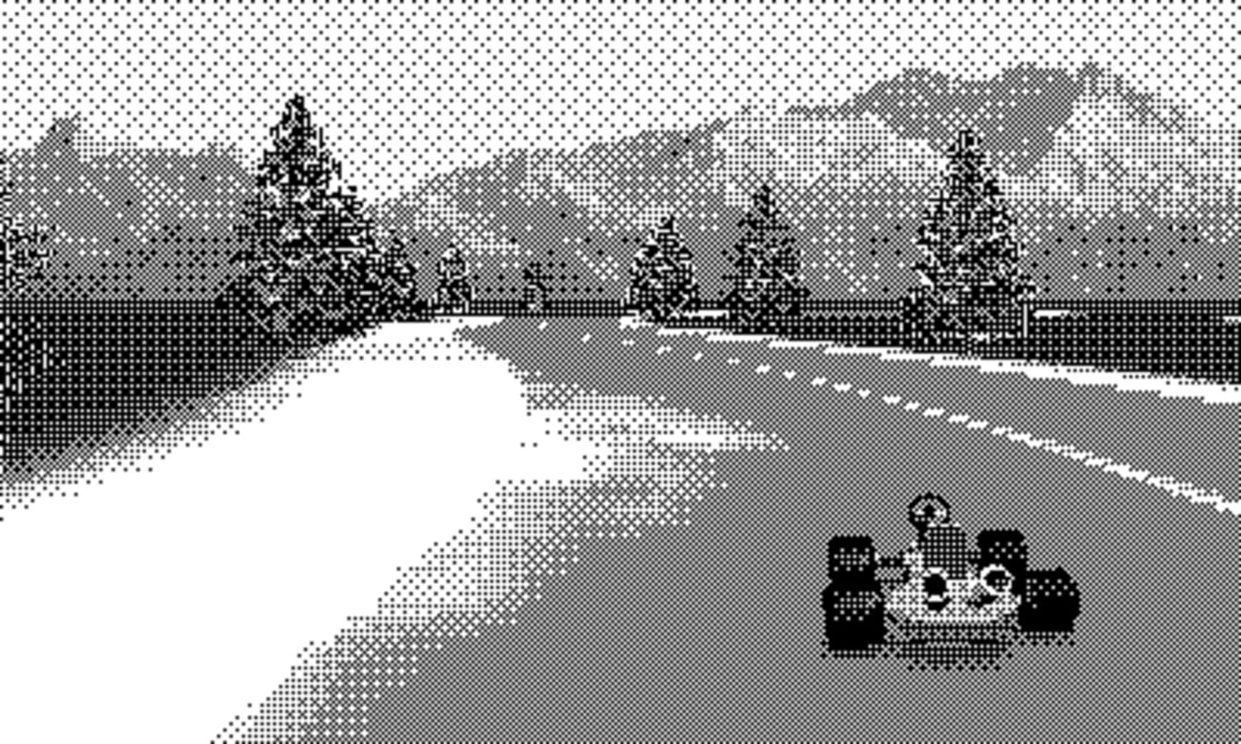 P-Racing screenshot 2