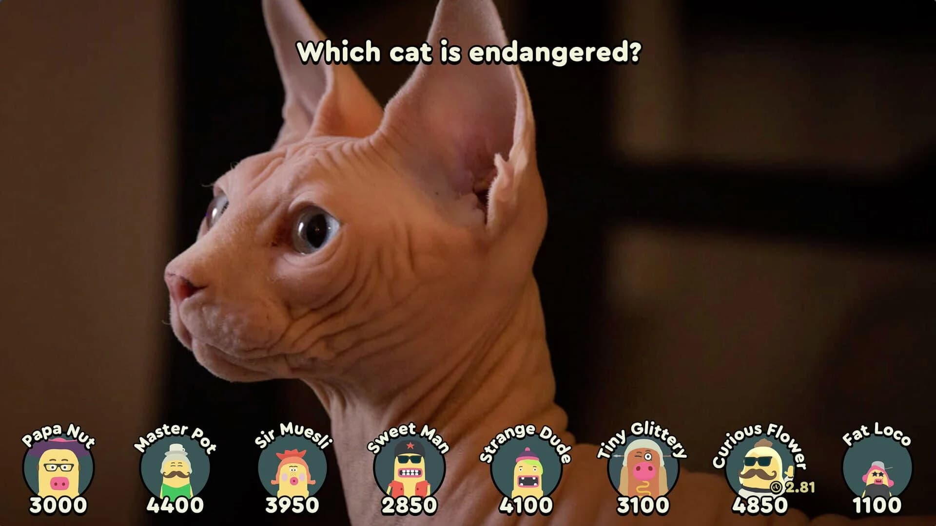 Papa's Quiz screenshot 3