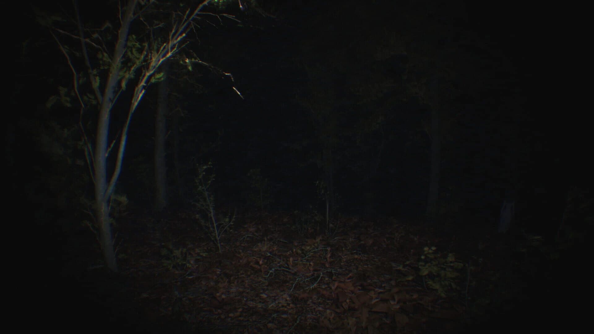 Paranormal Tales screenshot 4