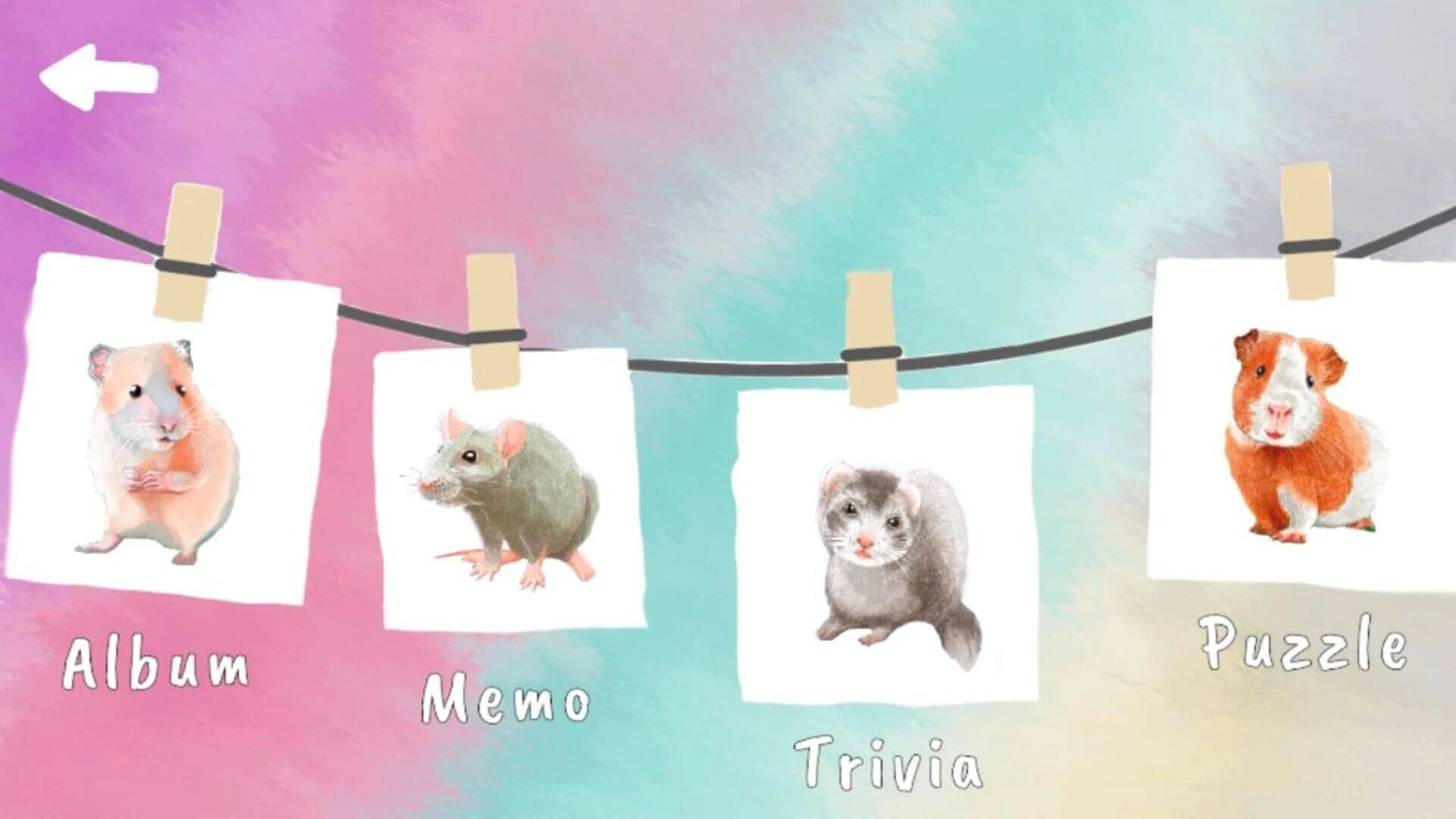 Pets and Friends Summer Vibes screenshot 6