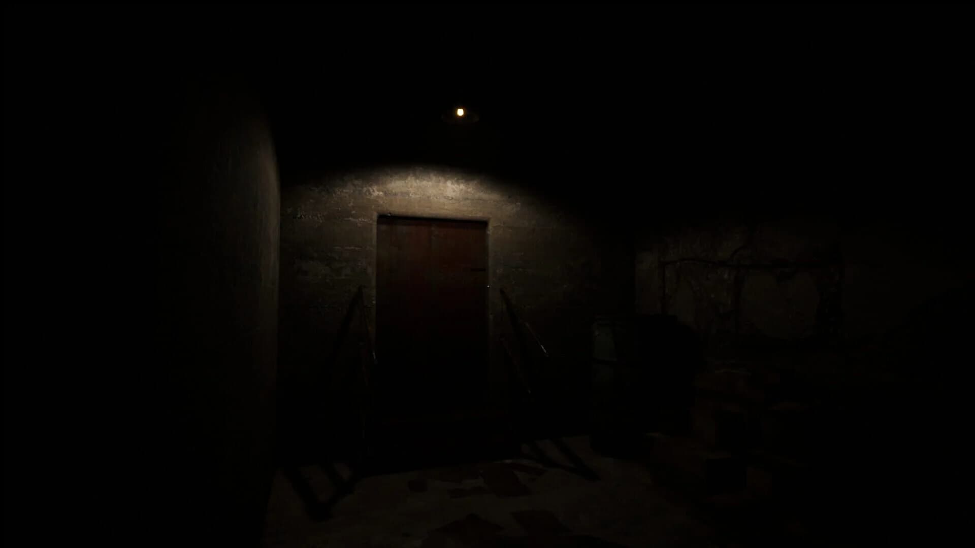 Phoenix Nightmare screenshot 5