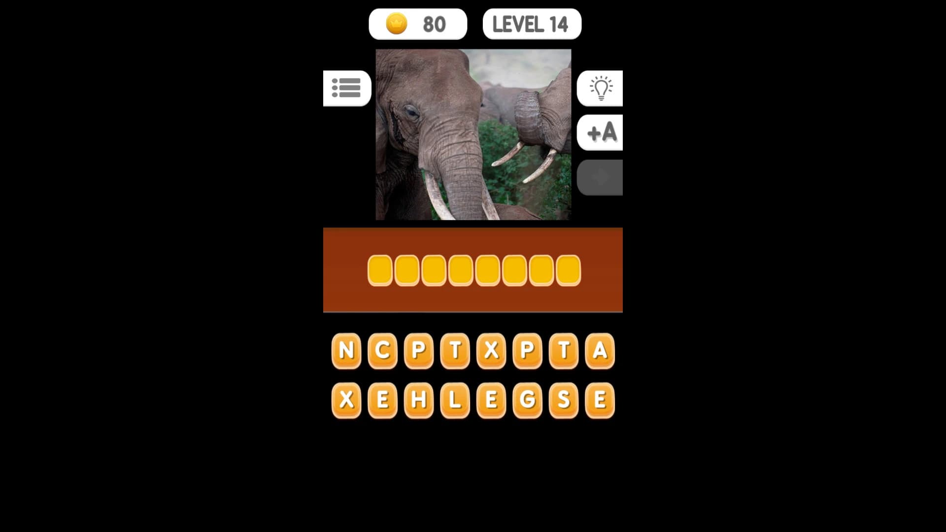 Photo Quiz: Animals screenshot 8