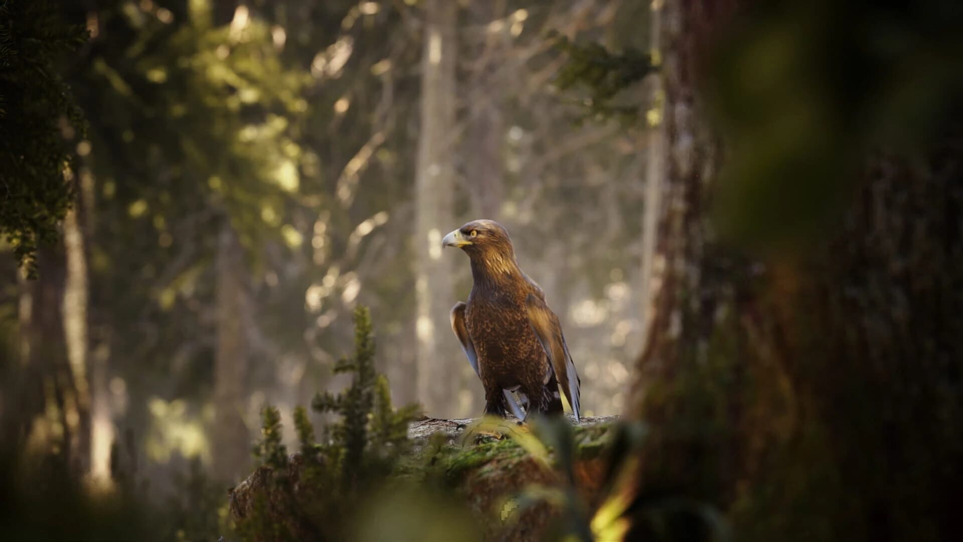 Photography Simulator screenshot 1