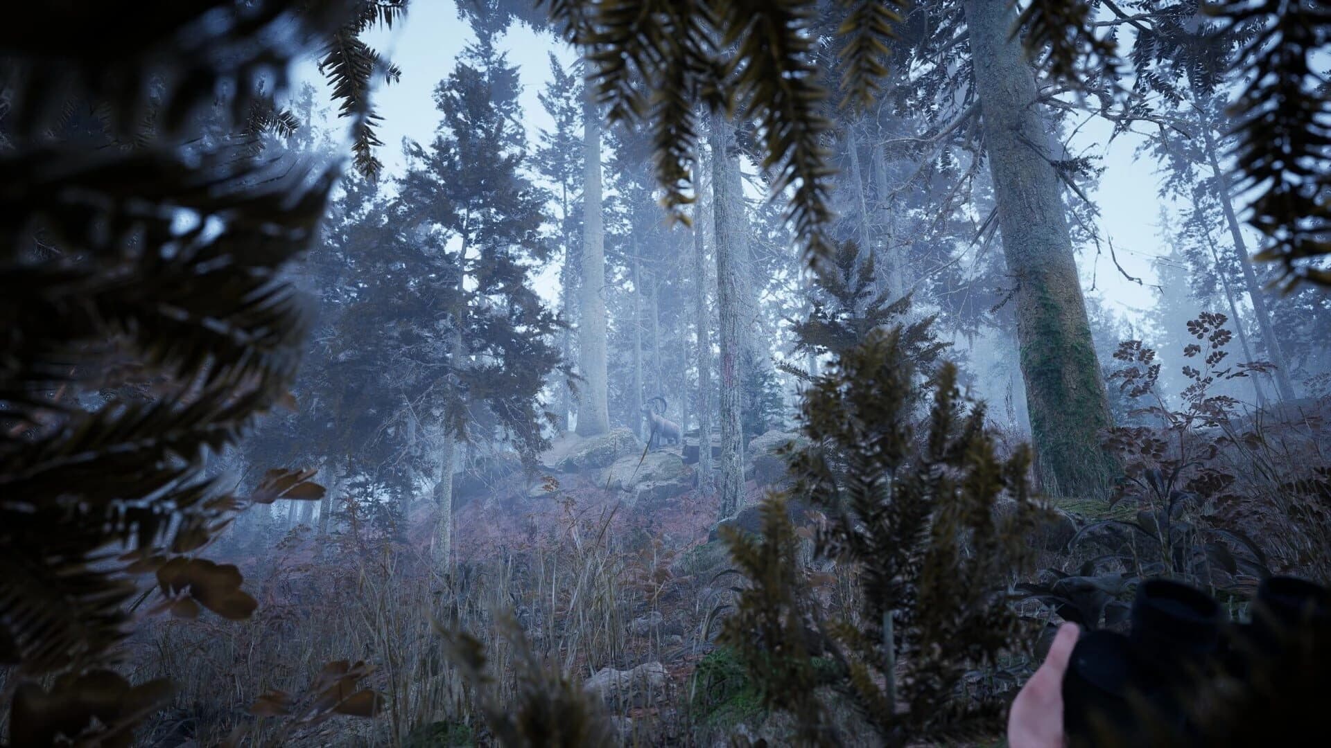 Photography Simulator screenshot 4