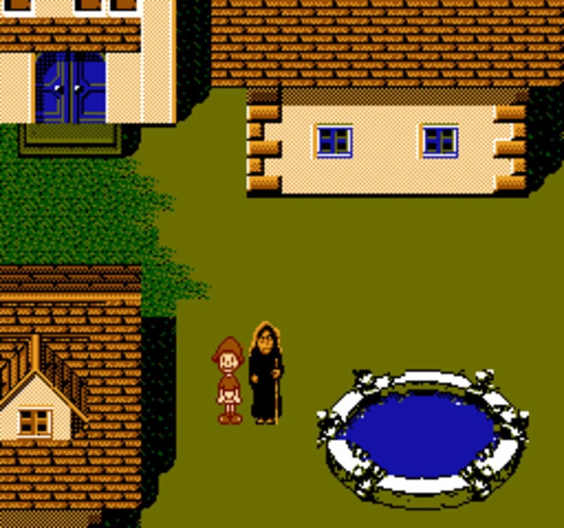 Pǐnuòcáo de Fùsū screenshot 5