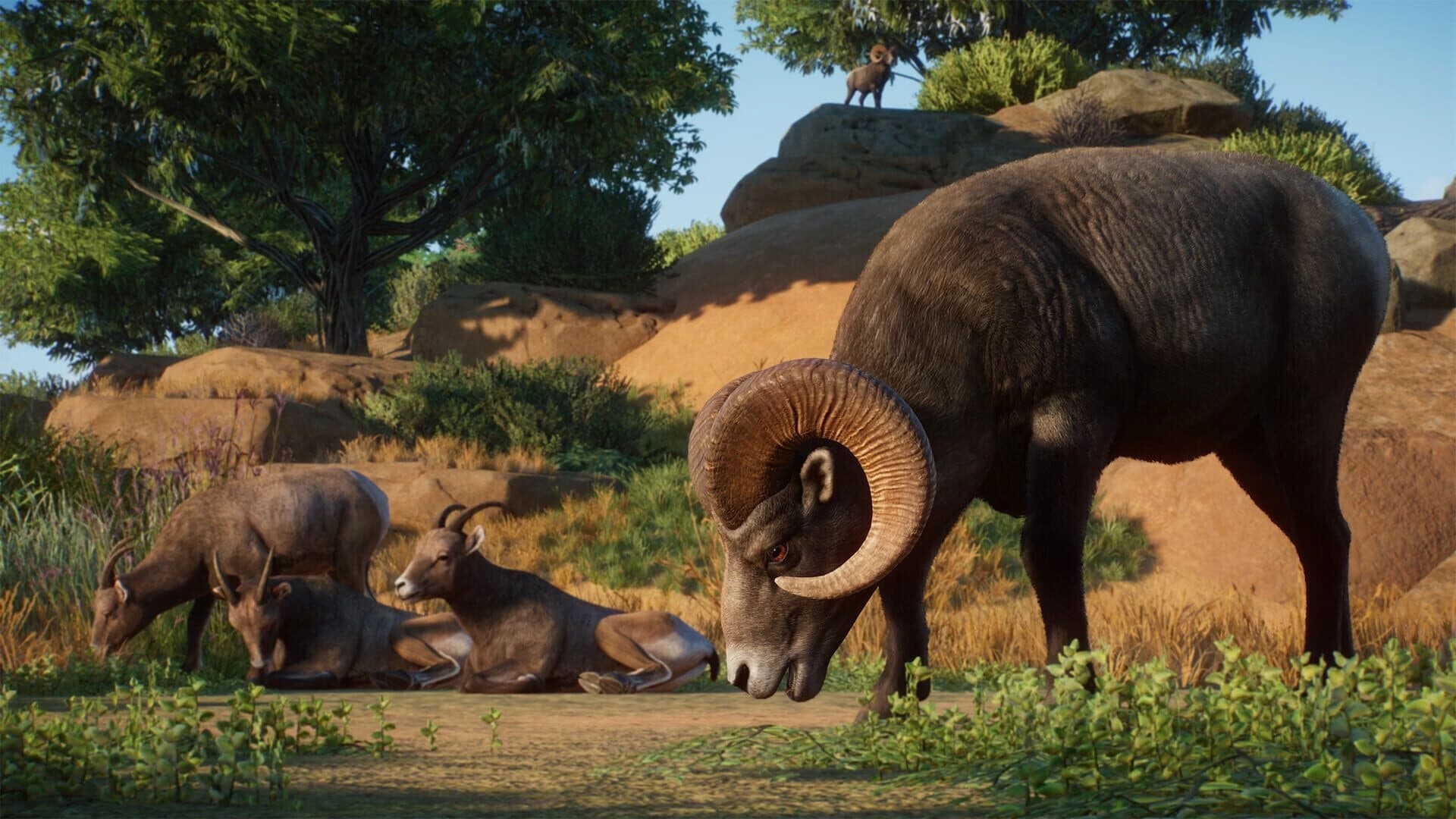 Planet Zoo: Americas Animal Pack screenshot 1