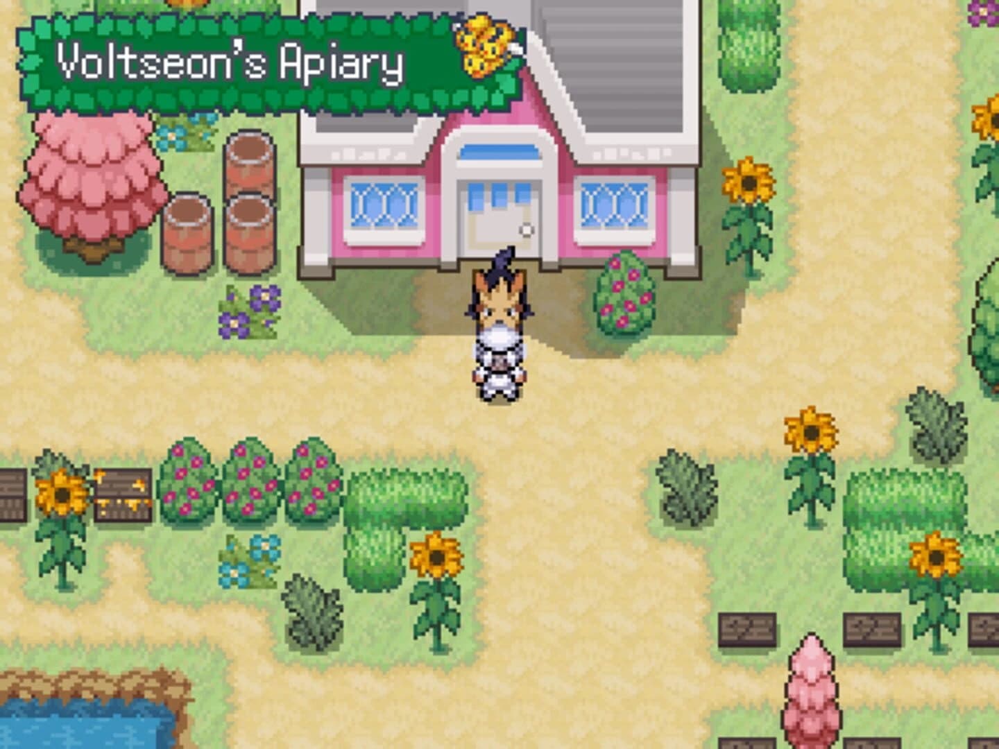 Pokémon Beekeeper screenshot 3